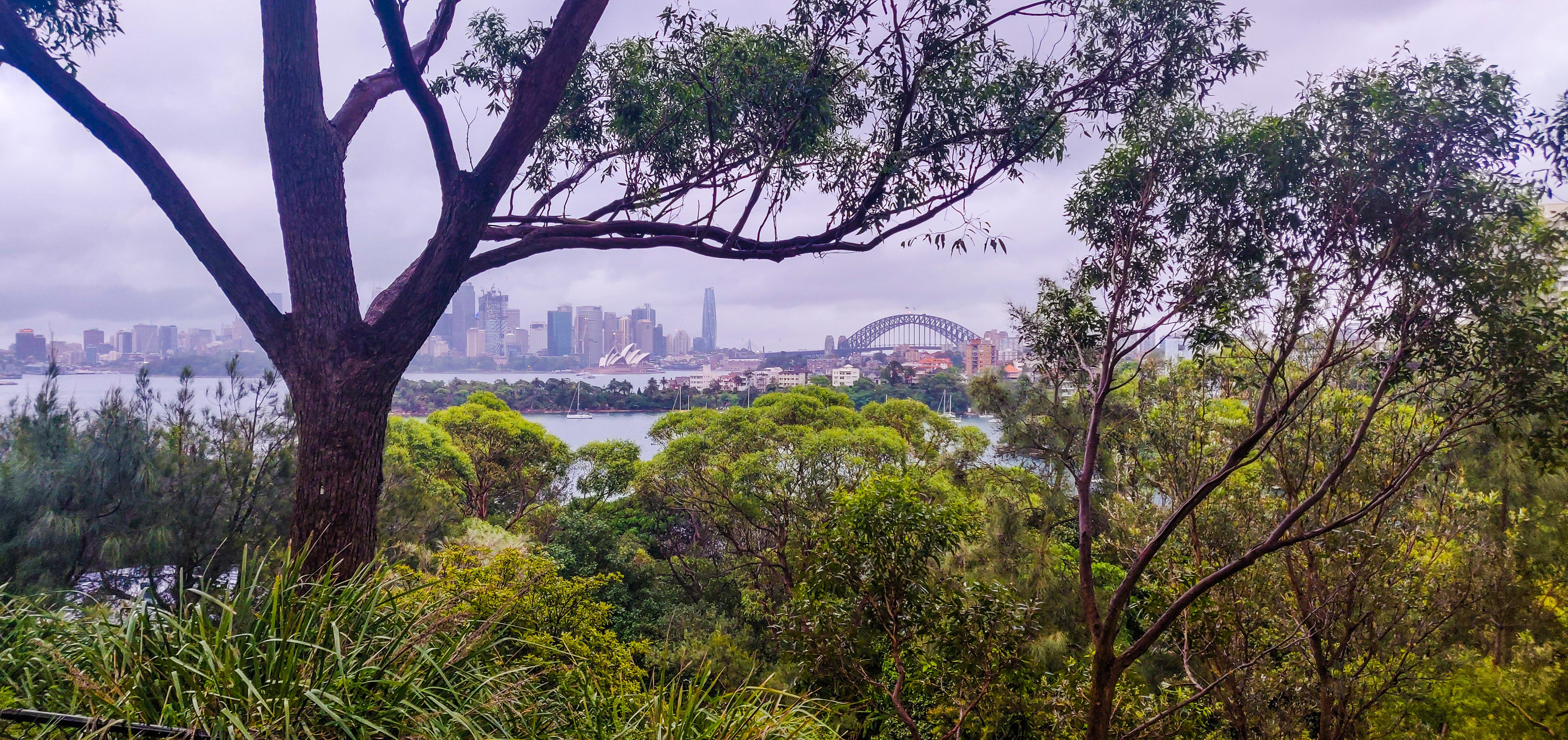 Taronga Zoo Roar And Snore