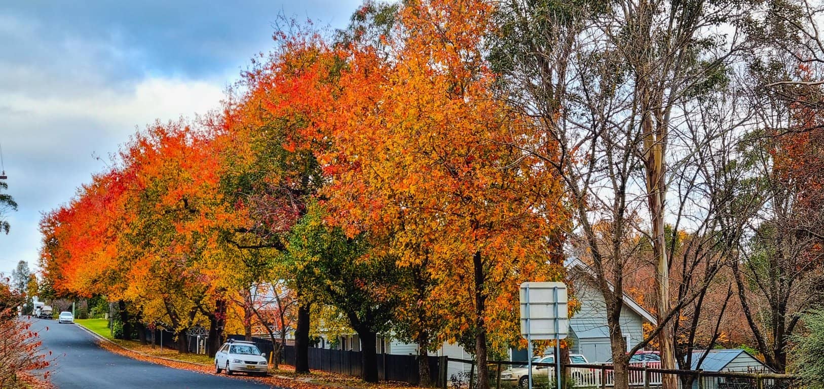 Bradman Walk - Street View