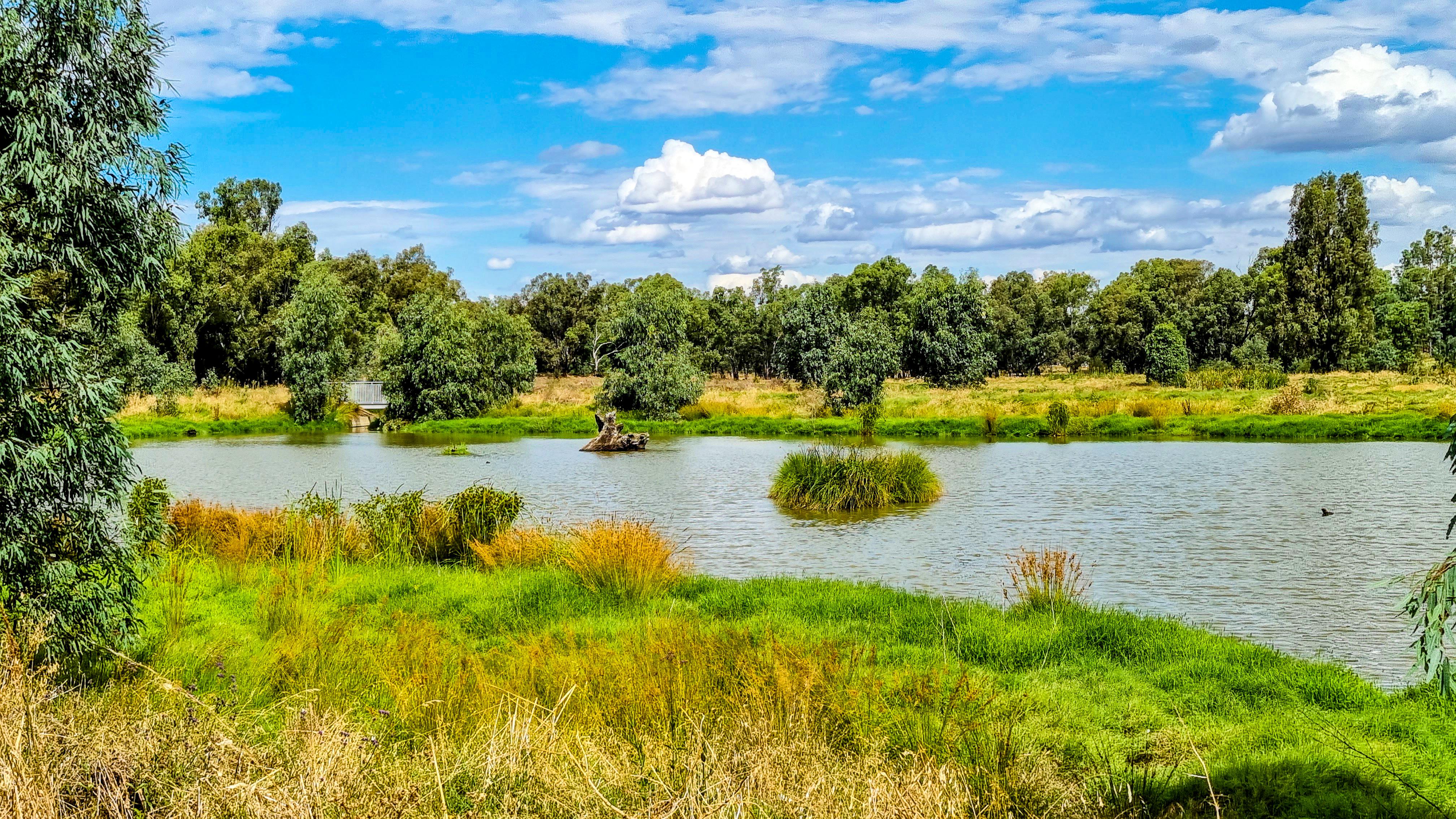Marrambidya Wetland