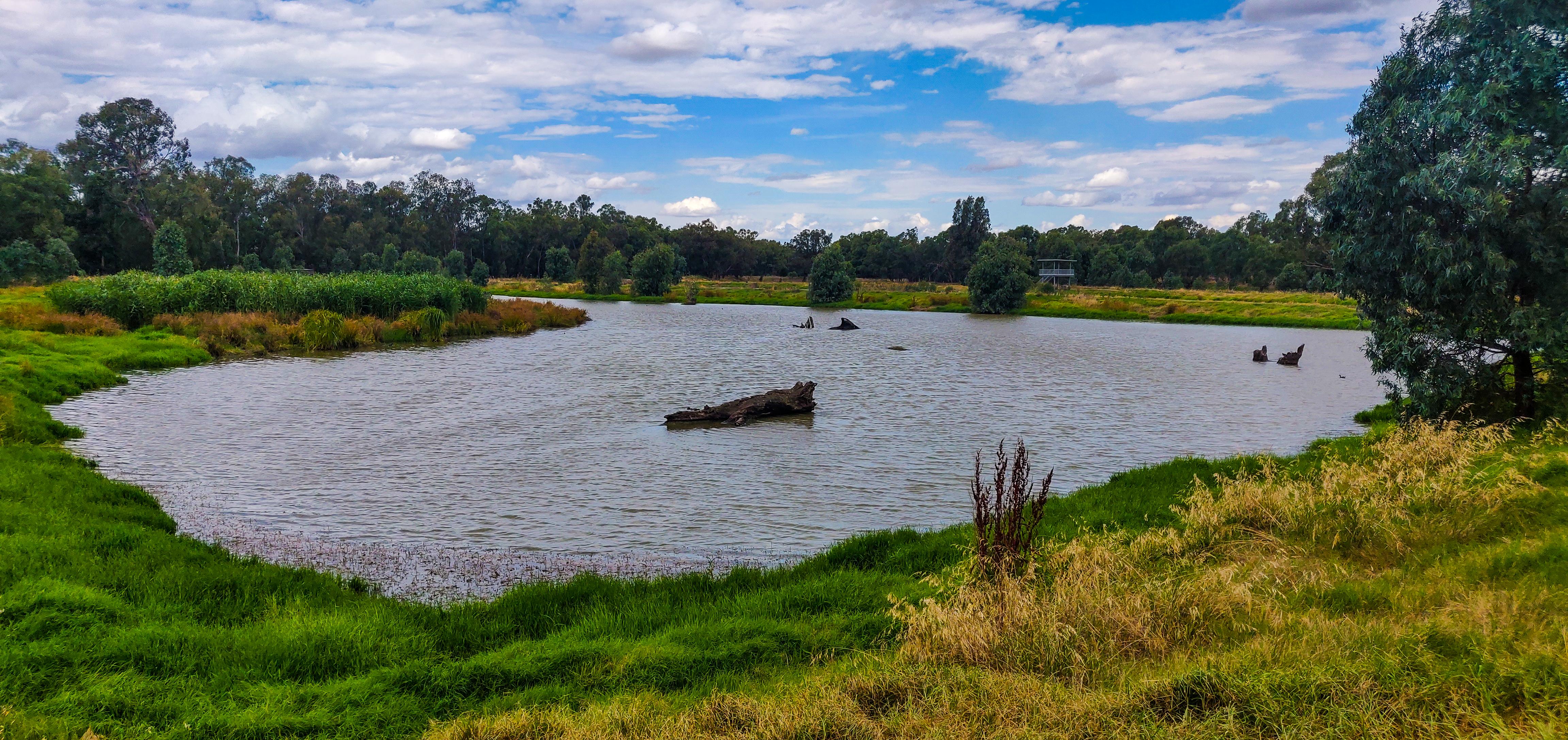 Marrambidya Wetland Walking Trail, Wagga Wagga