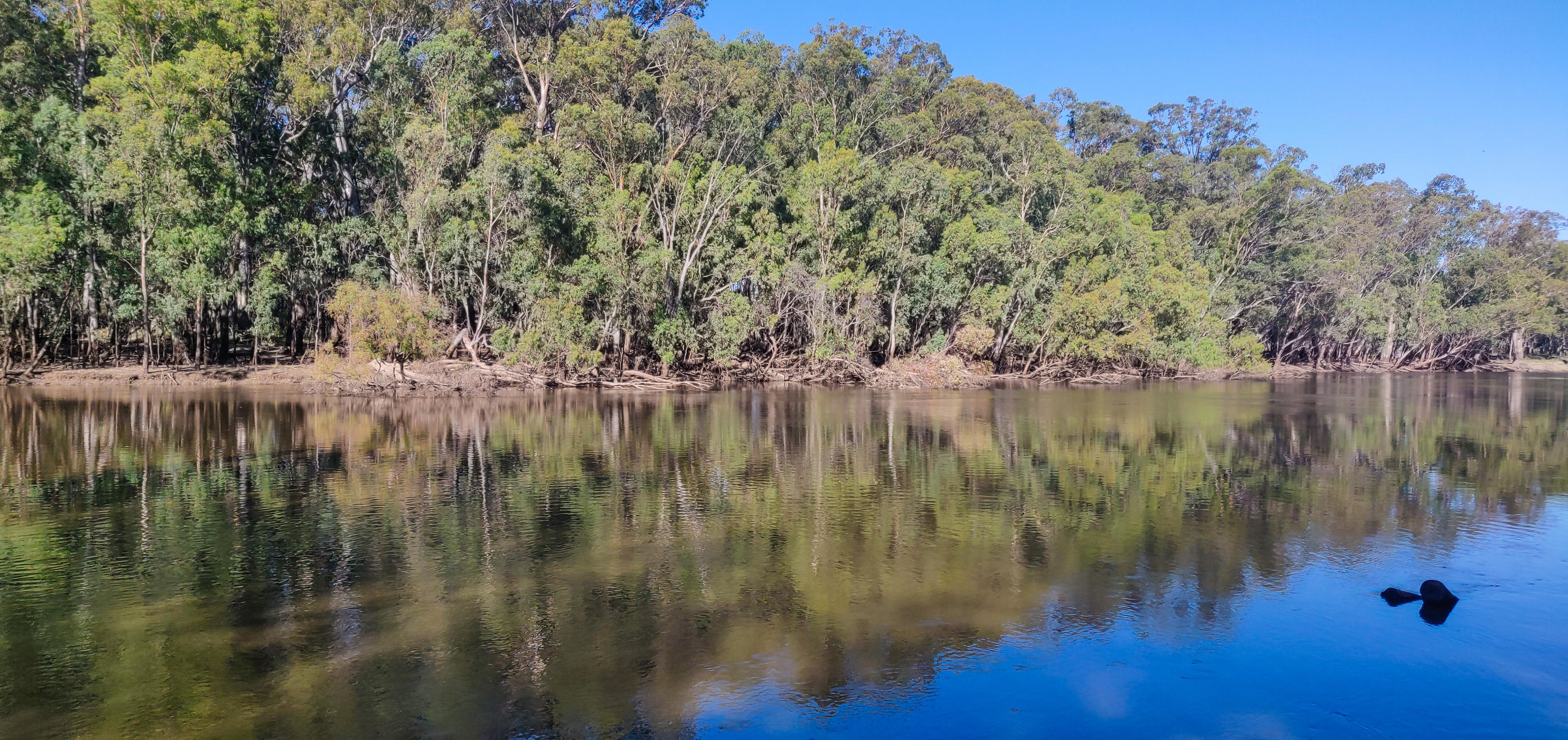 Bidgee Riverside Trail