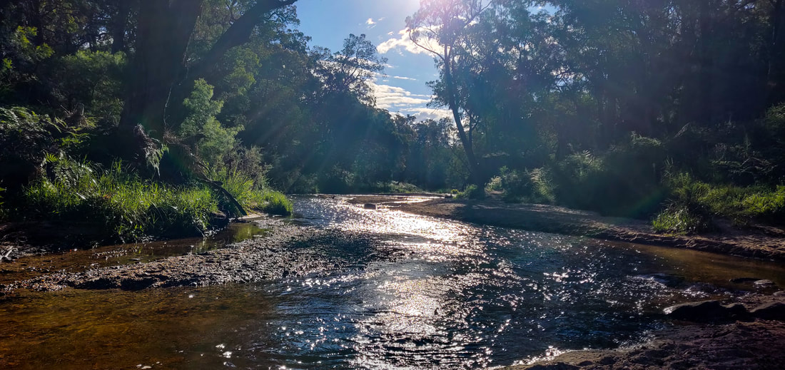 The Drip Gorge