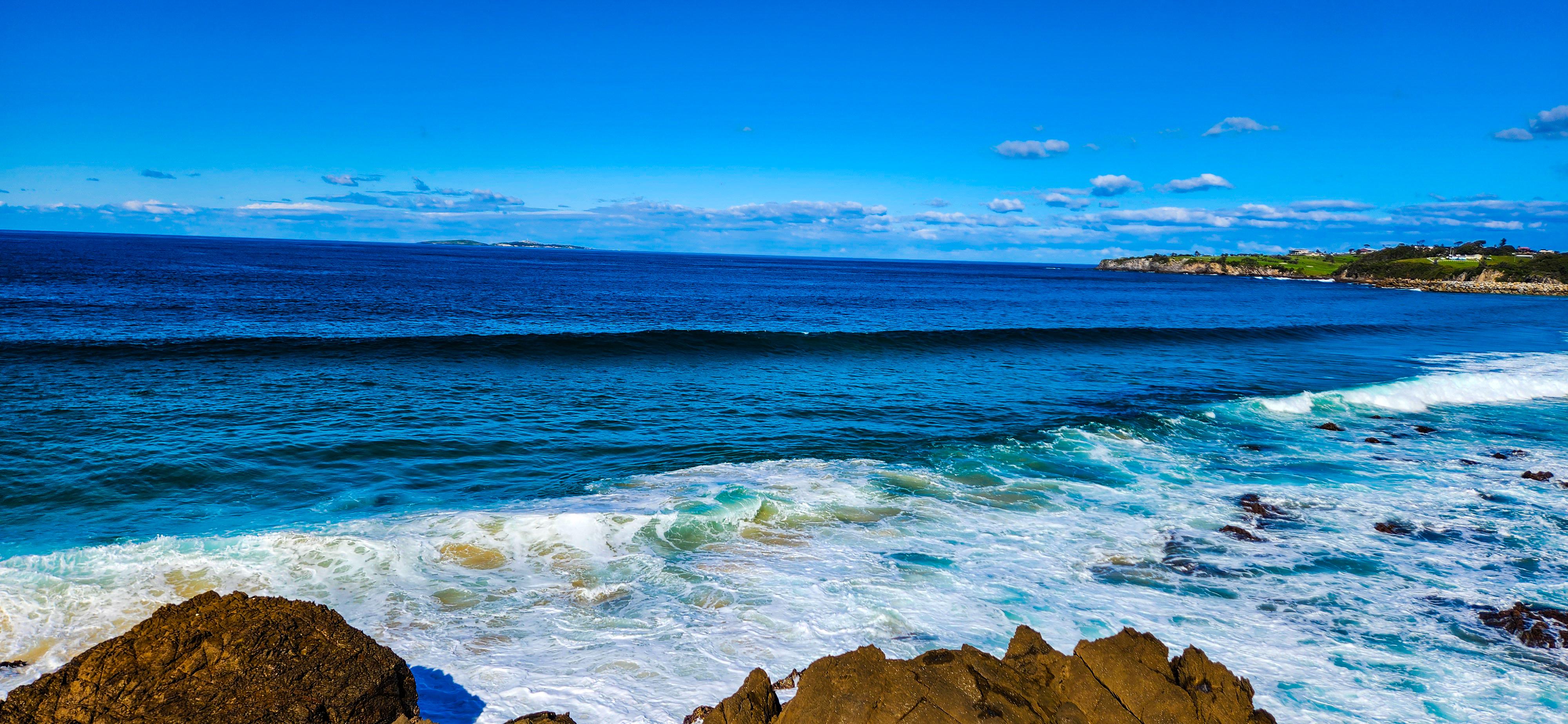 View of Montague Island from Milmanny Lookout