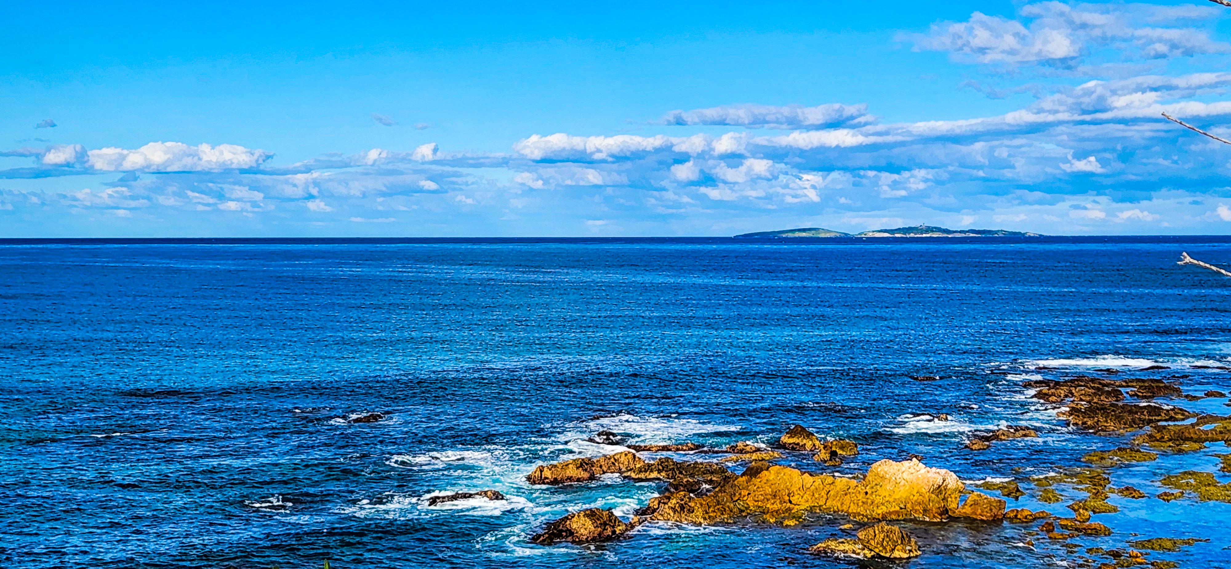 View of Montague Island from Bar Rock Lookout