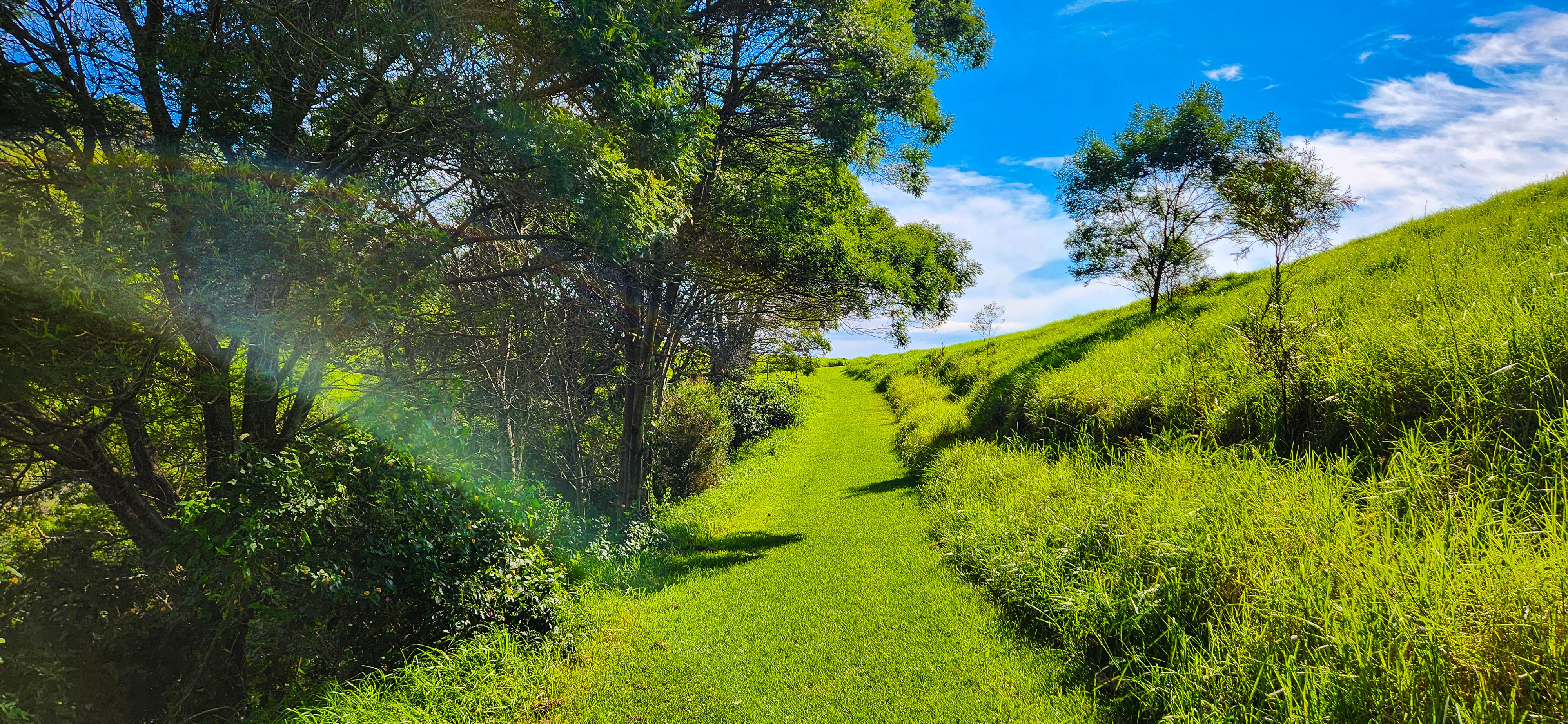 Bellbrook Farm Loop Trail