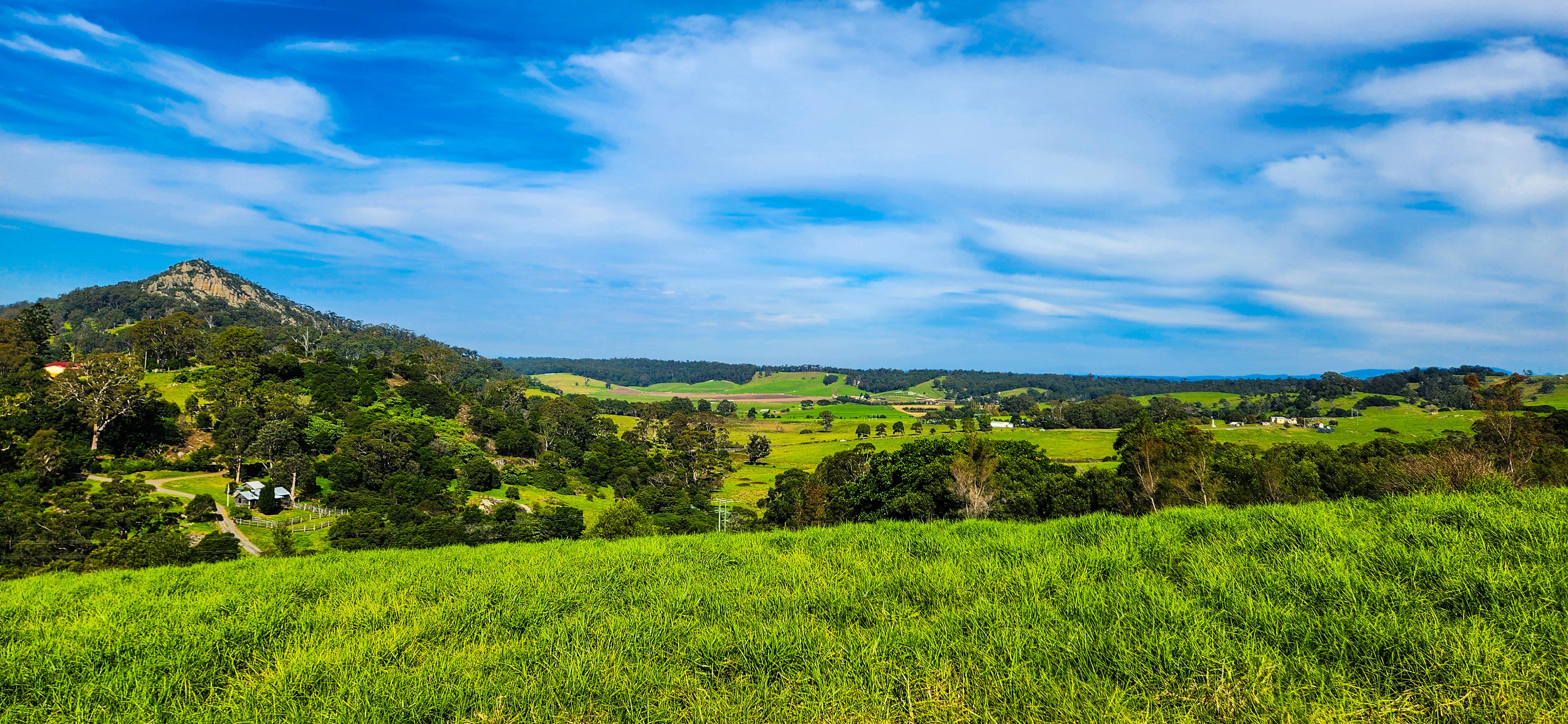 View along Bellbrook Farm Loop Track
