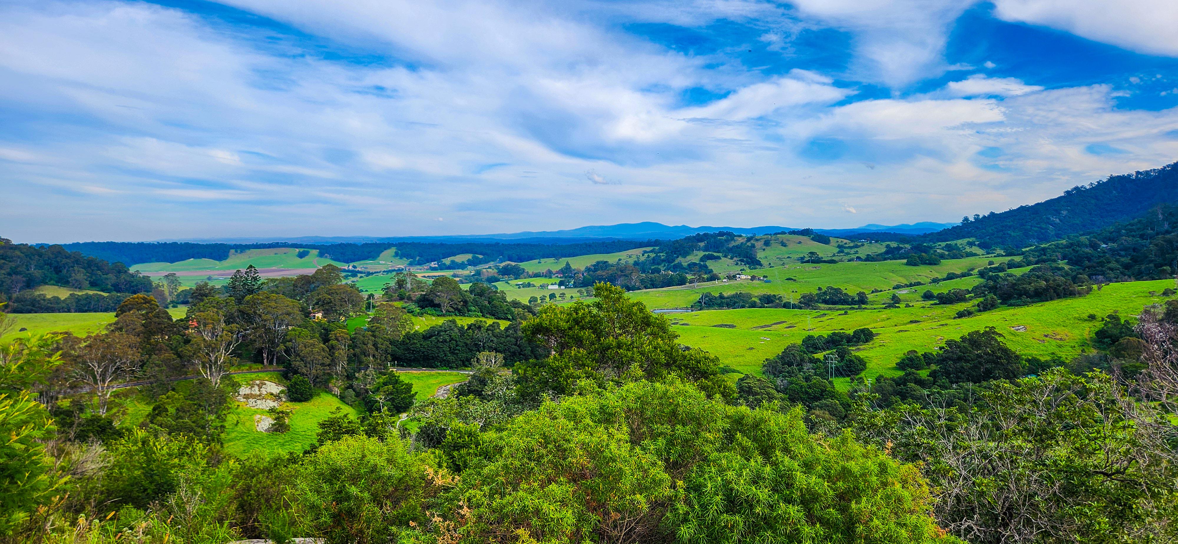 View from Water Tower Lookout