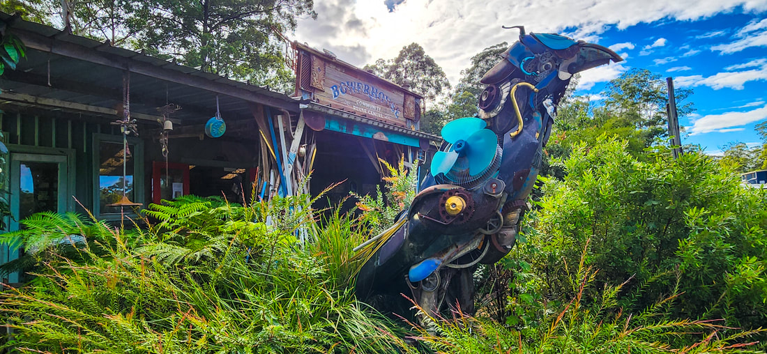 The BIG Bower Bird, Urunga