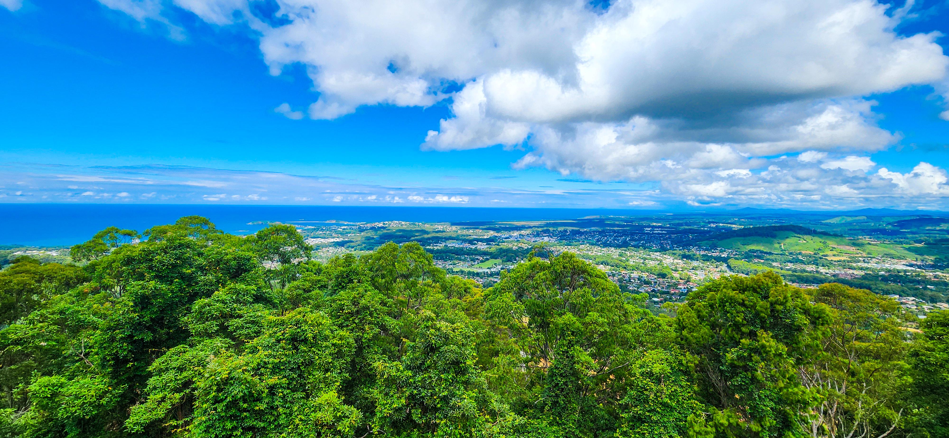 Niigi Niigi - Sealy Lookout, Coffs Harbour