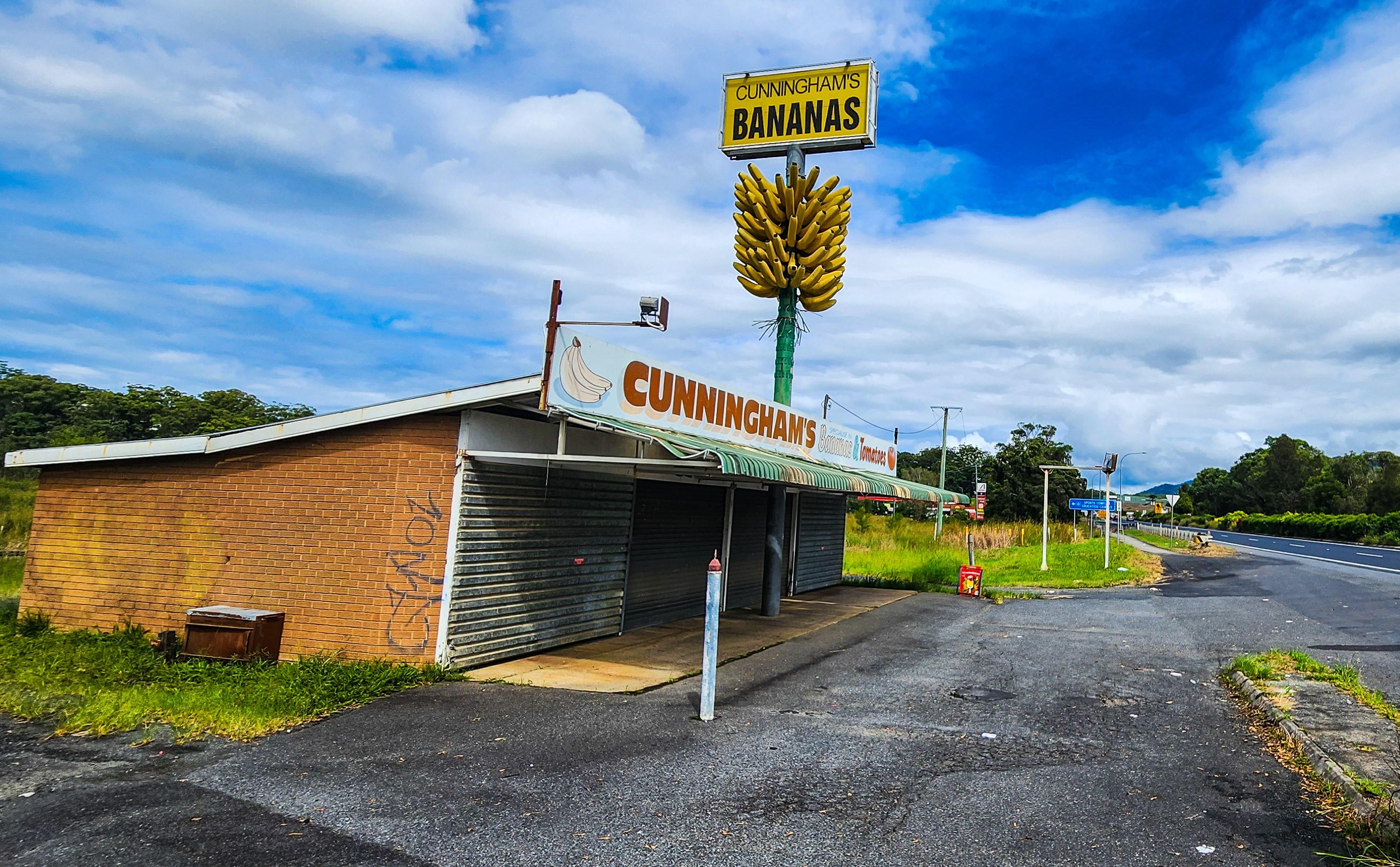 The Big Bunch of Bananas (Cunningham's Bananas)