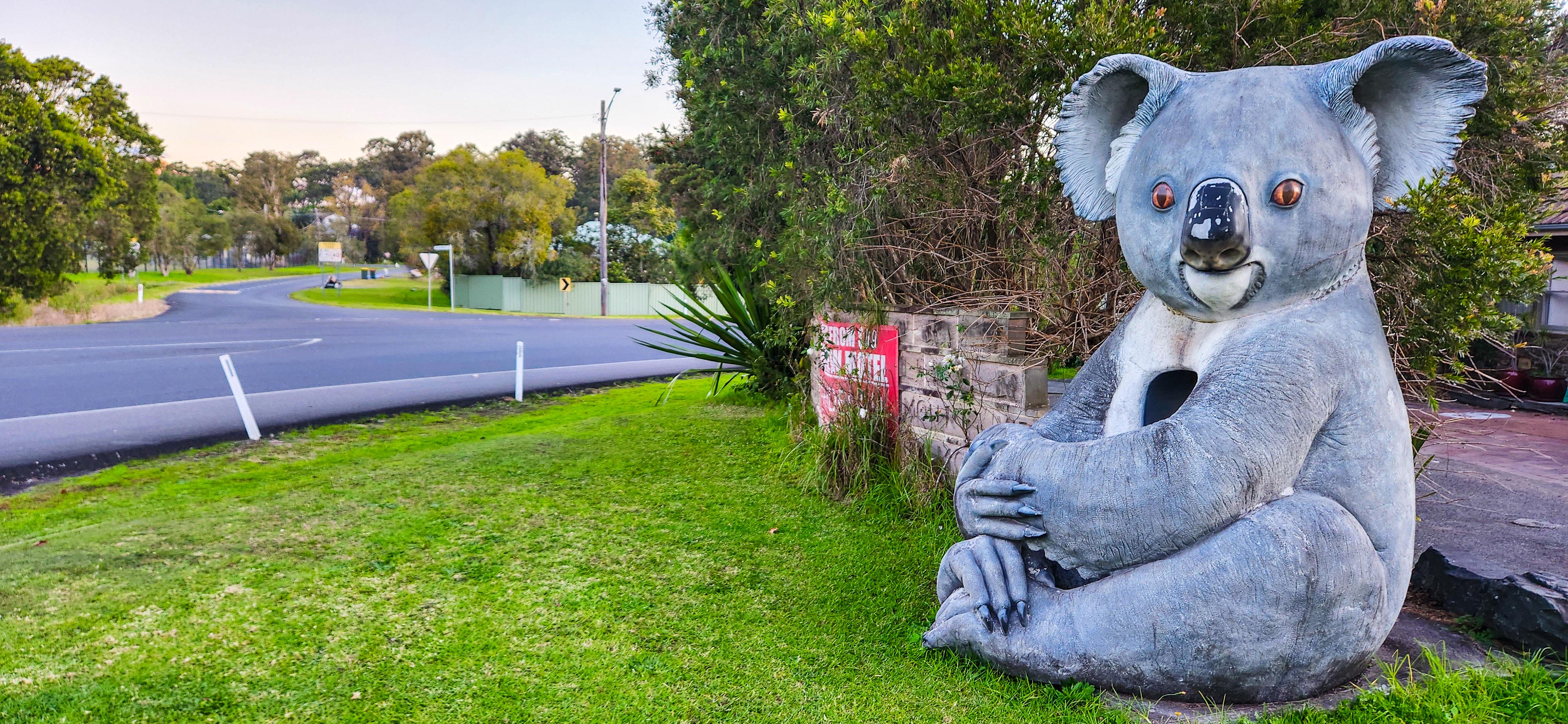 The Big Koala outside Mount View Motel in Bulahdelah