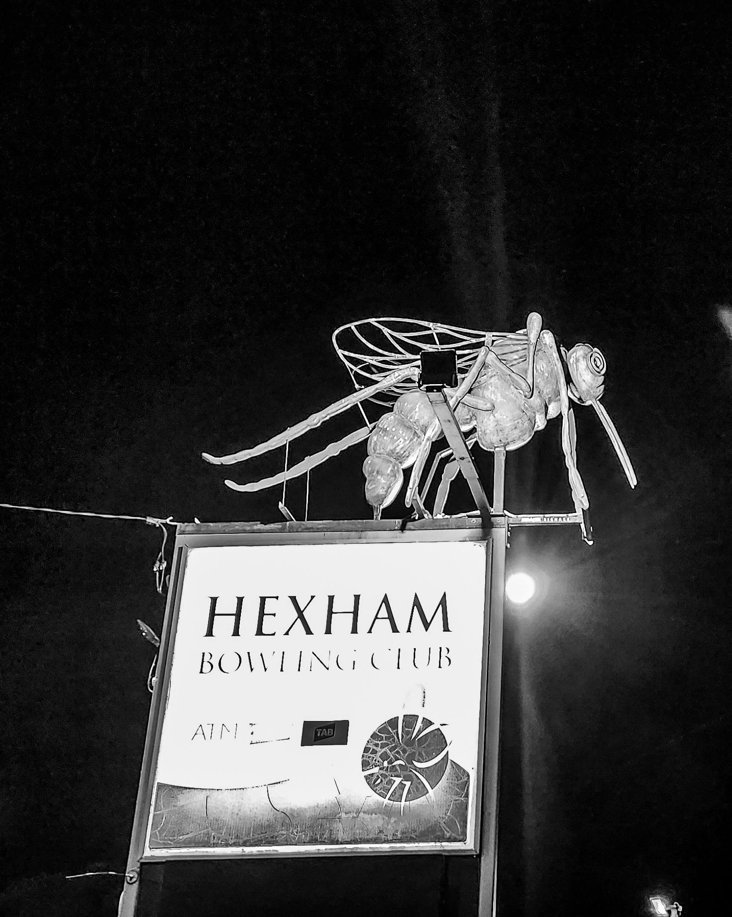 The Big Mosquito outside Hexham Bowling Club in Hexham