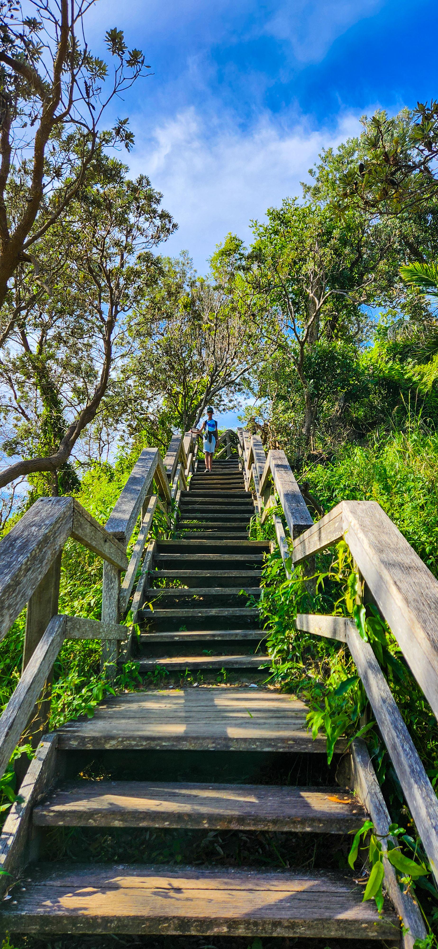 Stairs to Flagstaff Lookout