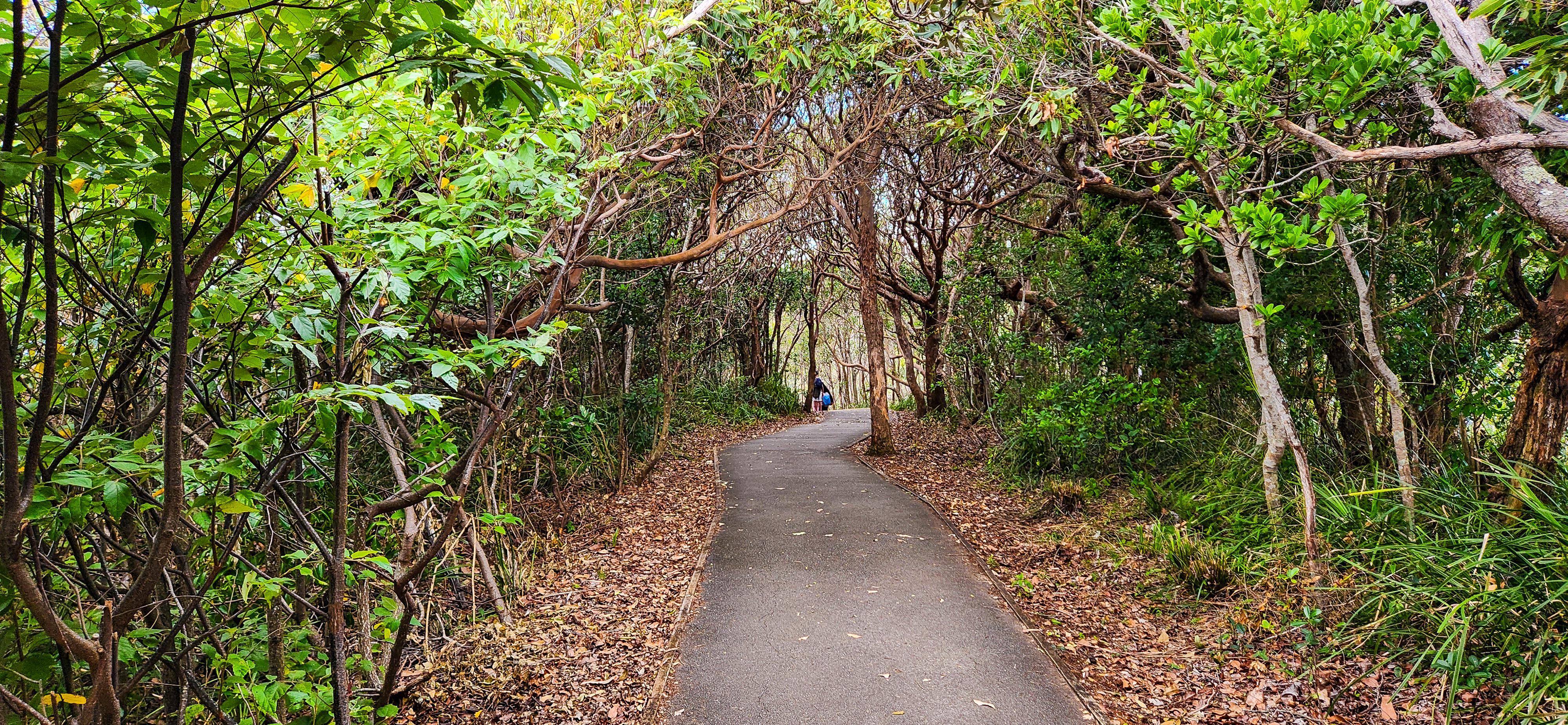 On the way to Flynns Beach
