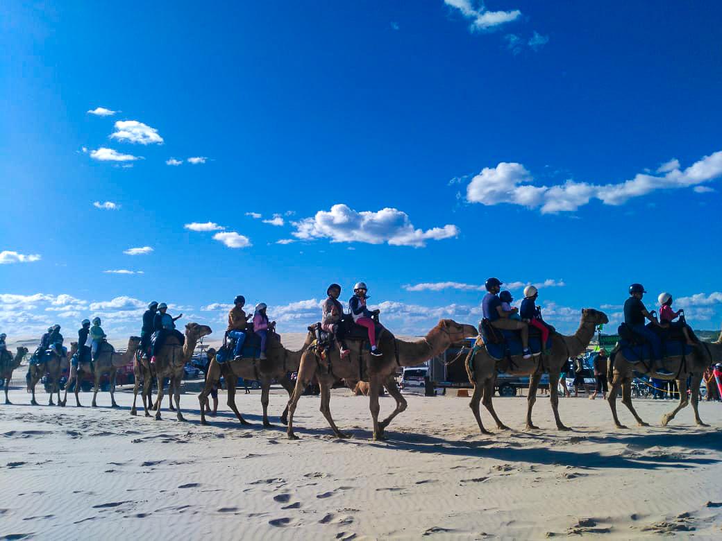 Oakfield Ranch Camel Rides