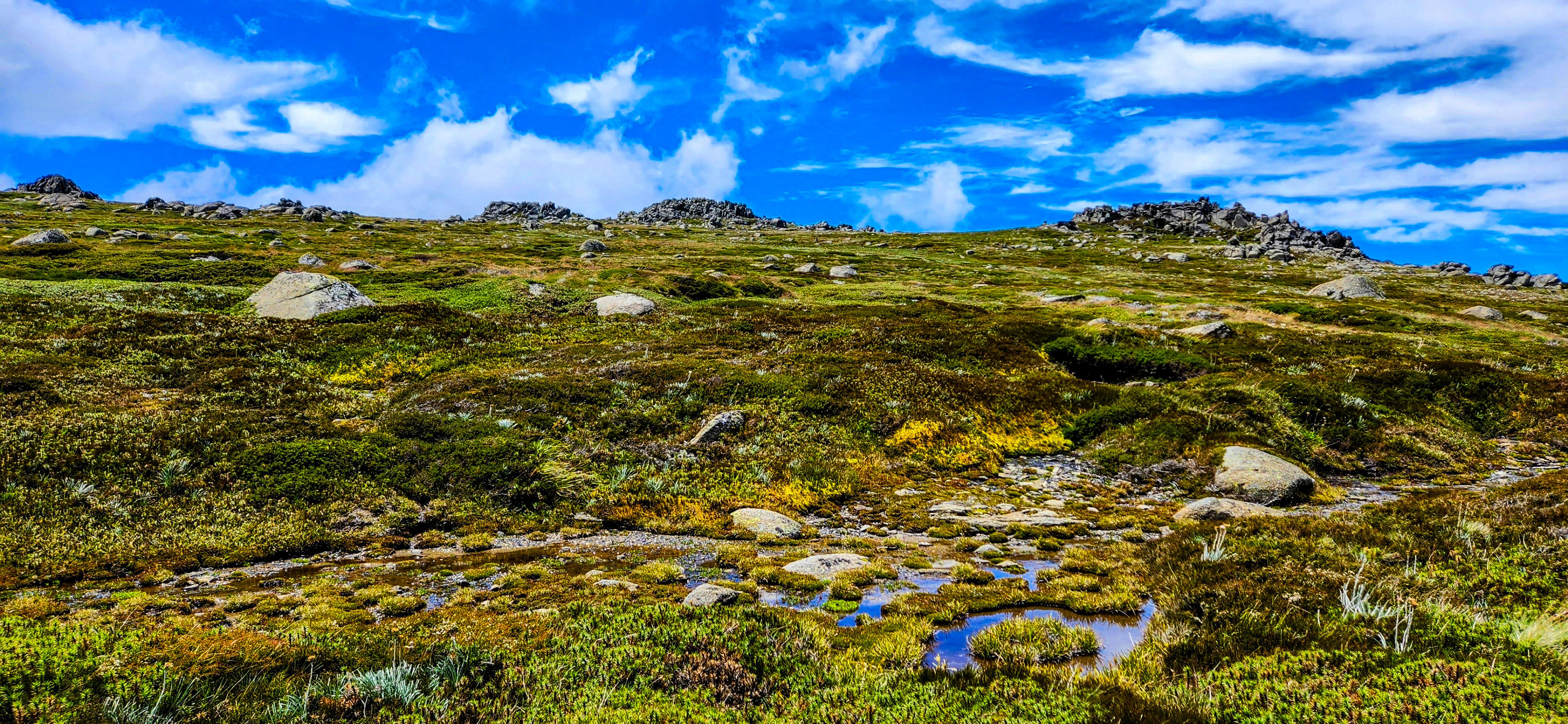 Mt Kosciuszko Summit Walking Trail