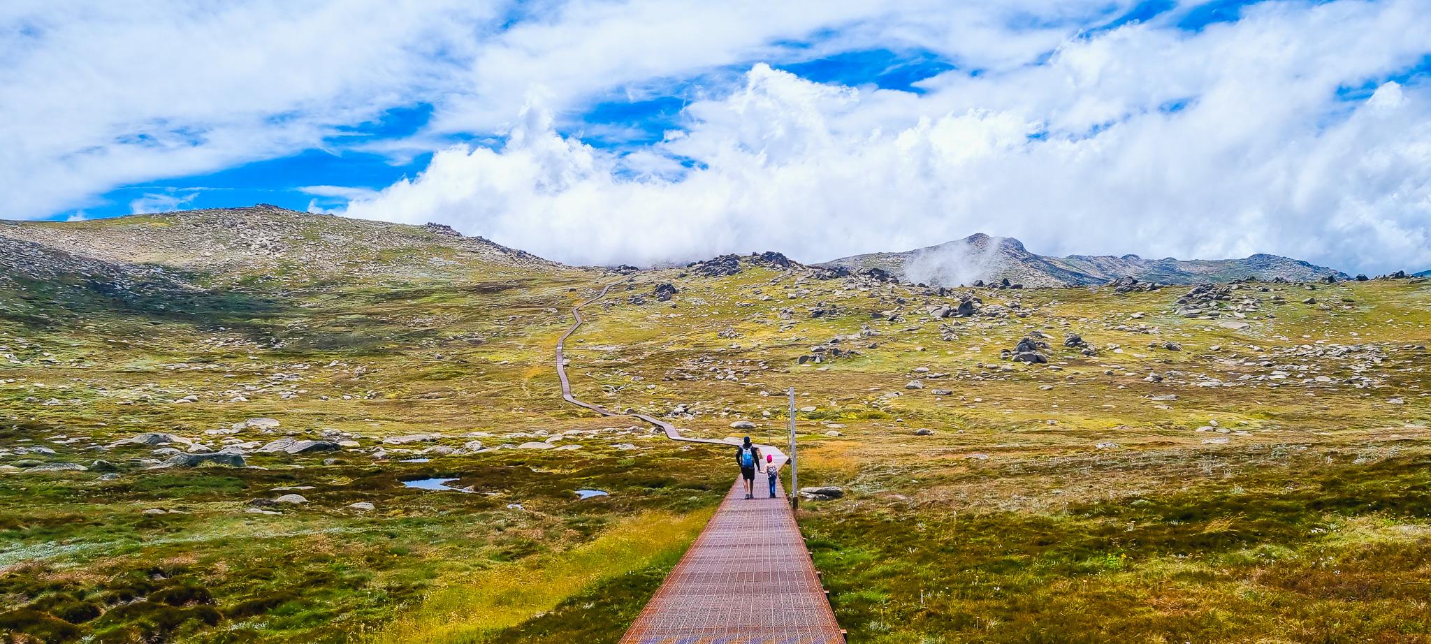 Mt Kosciuszko Summit Walking Track