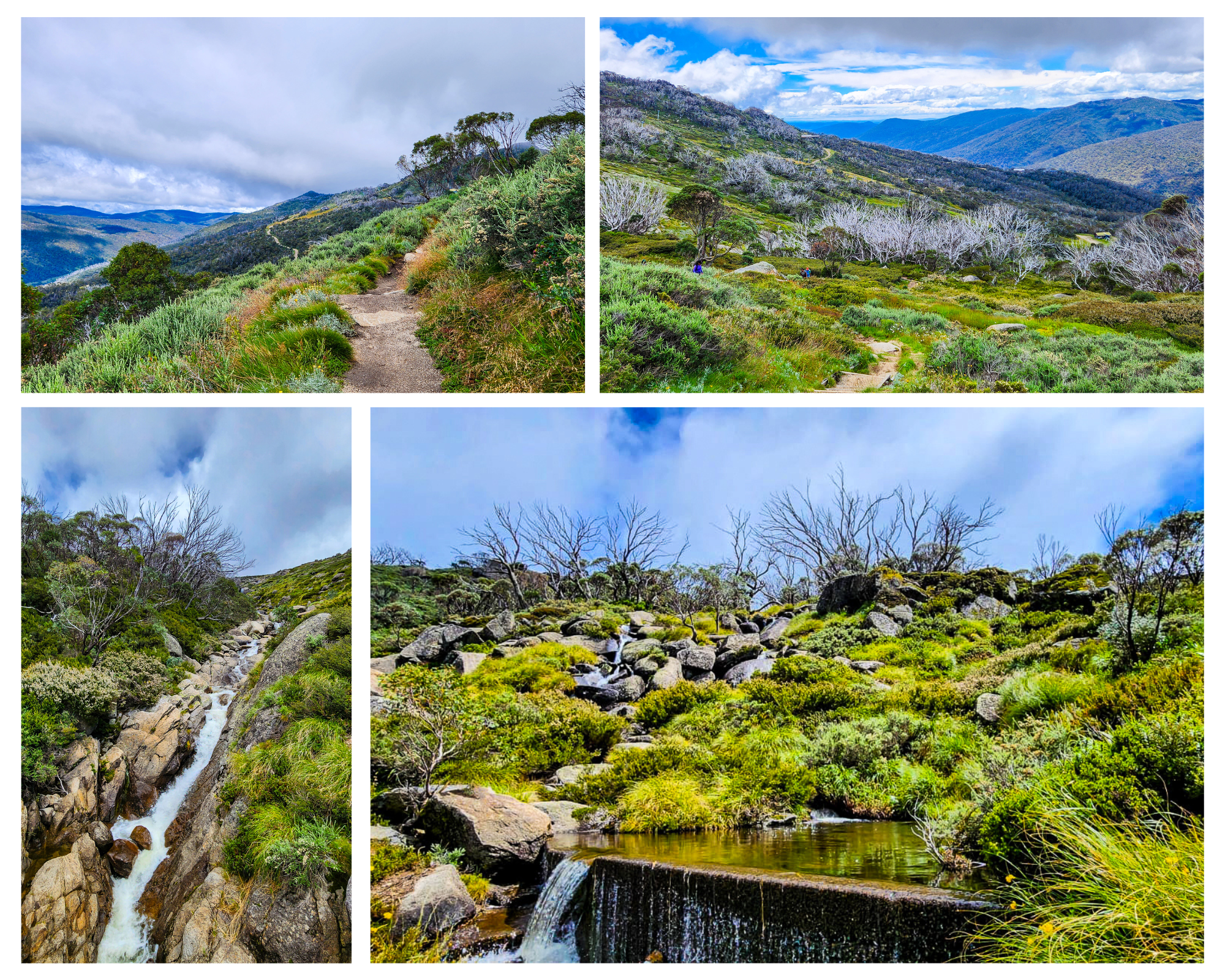 Thredbo to Eagles Nest Walk