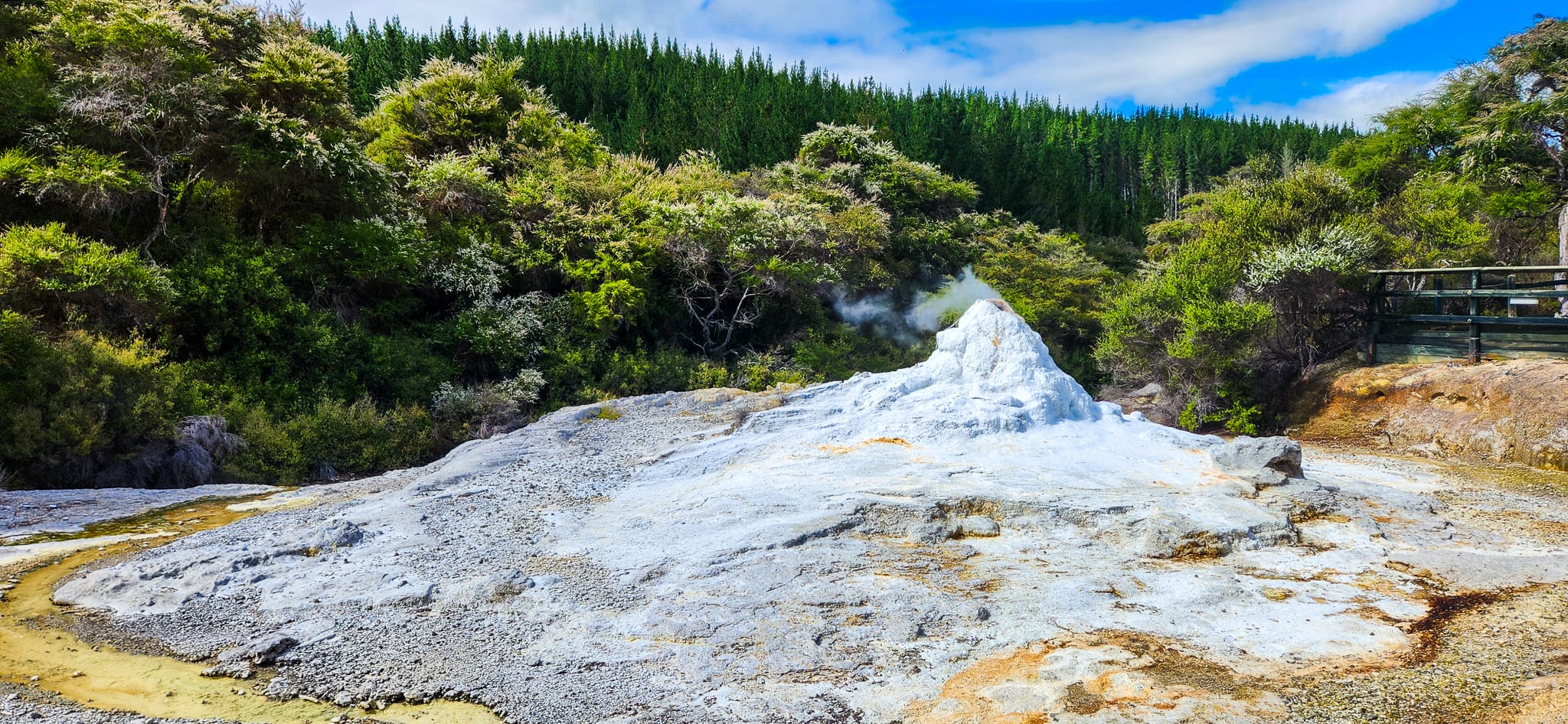 Lady Knox Geyser at Wai-O-Tapu Thermal Wonderland