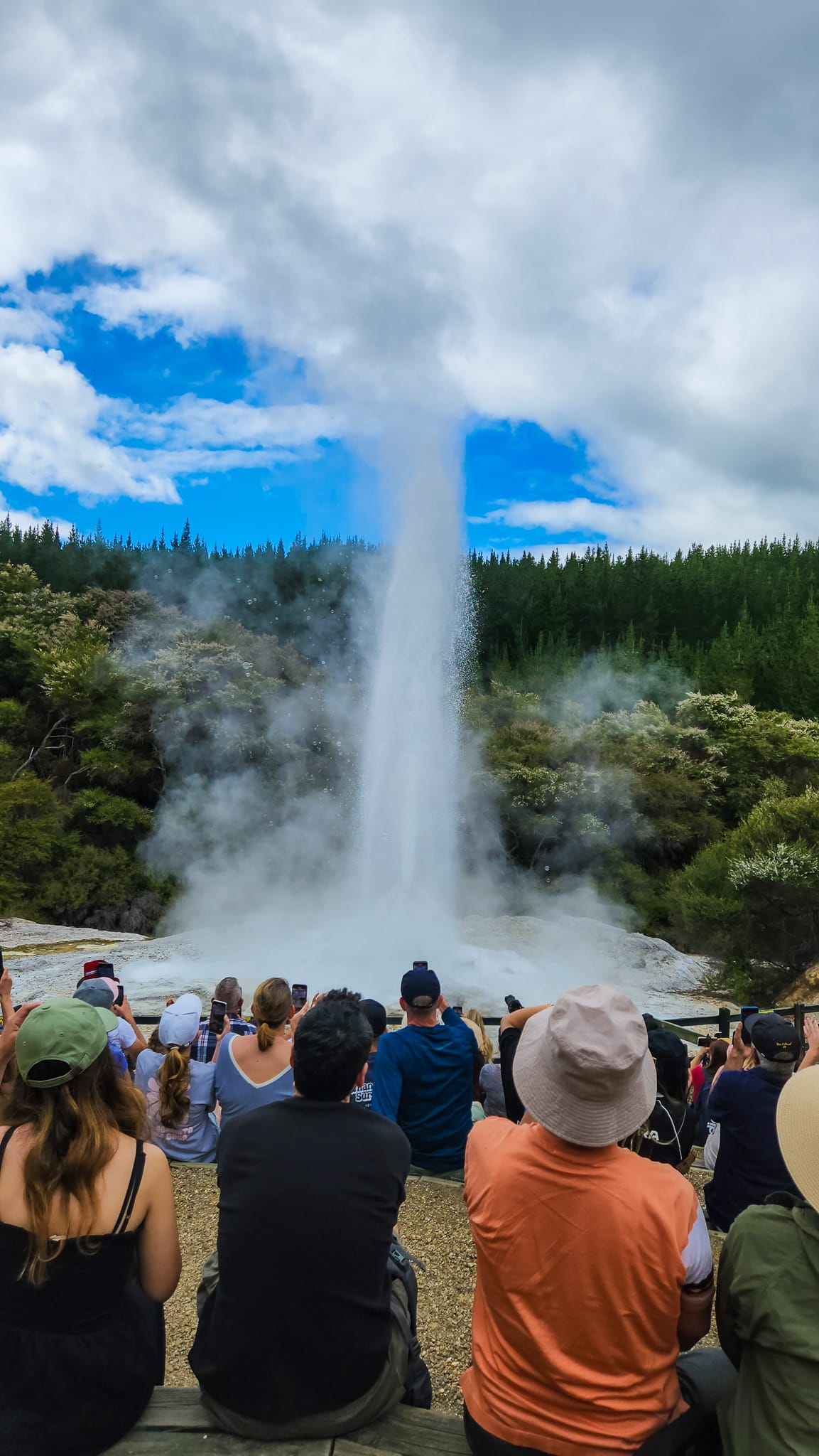 Lady Knox Geyser Eruption in Rotorua