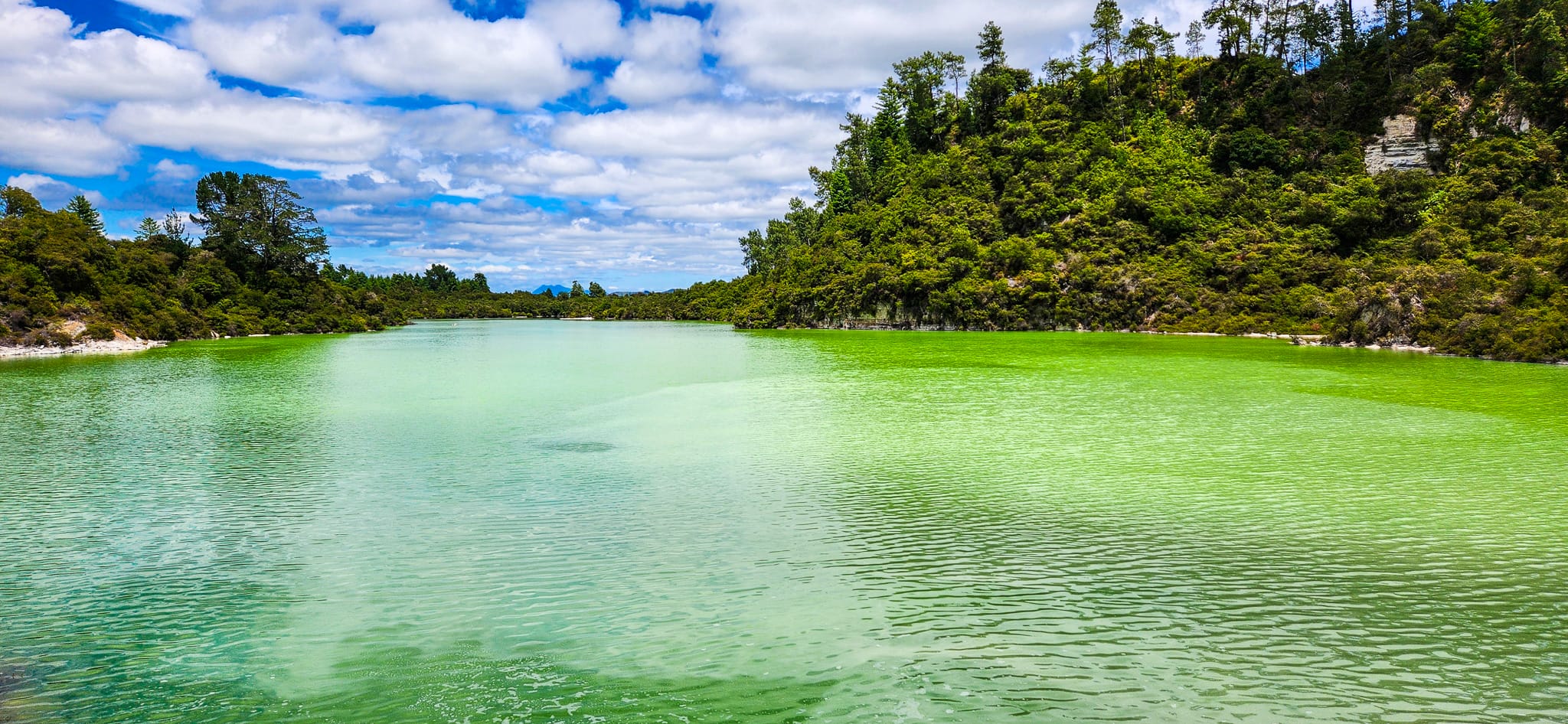 Lake Ngakoro in Rotorua