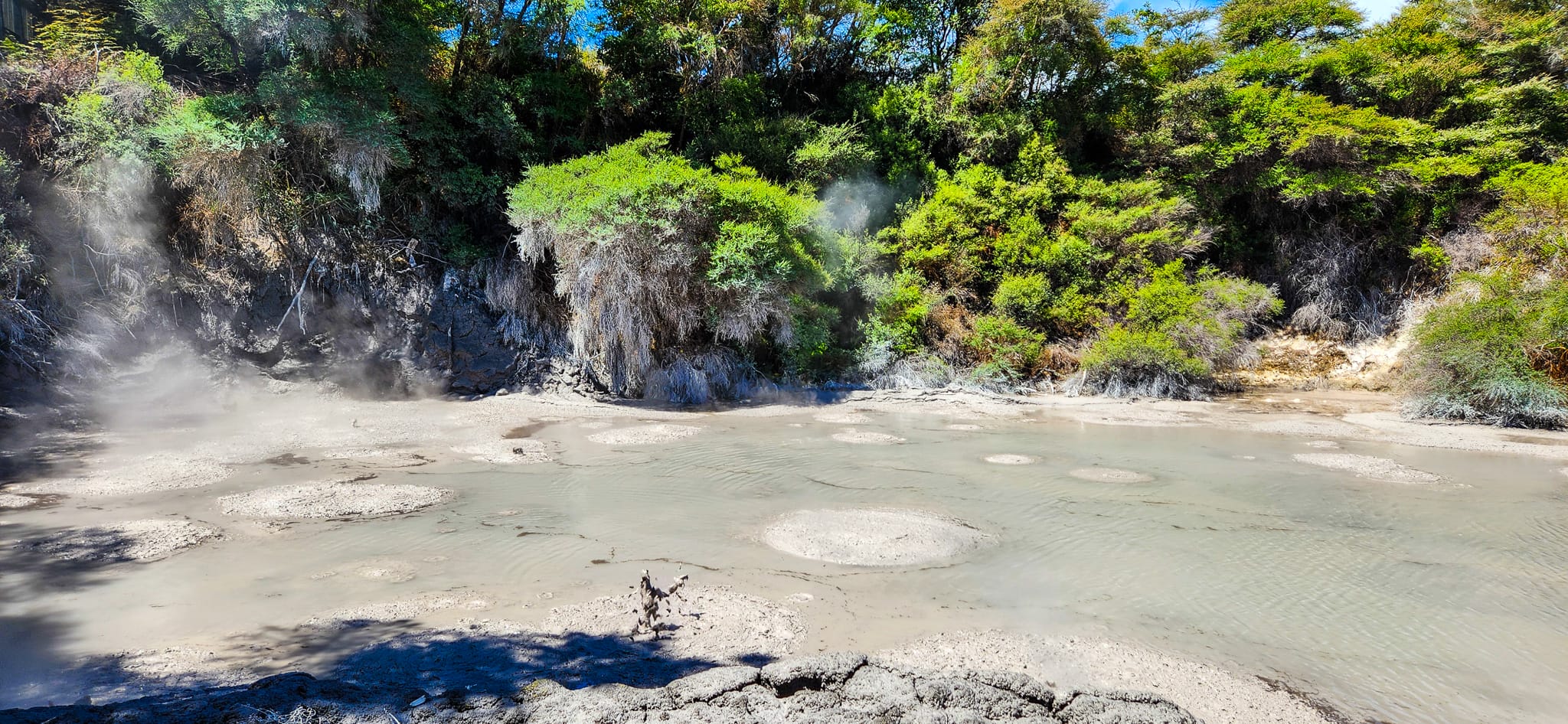 Waiotapu Mud Pool