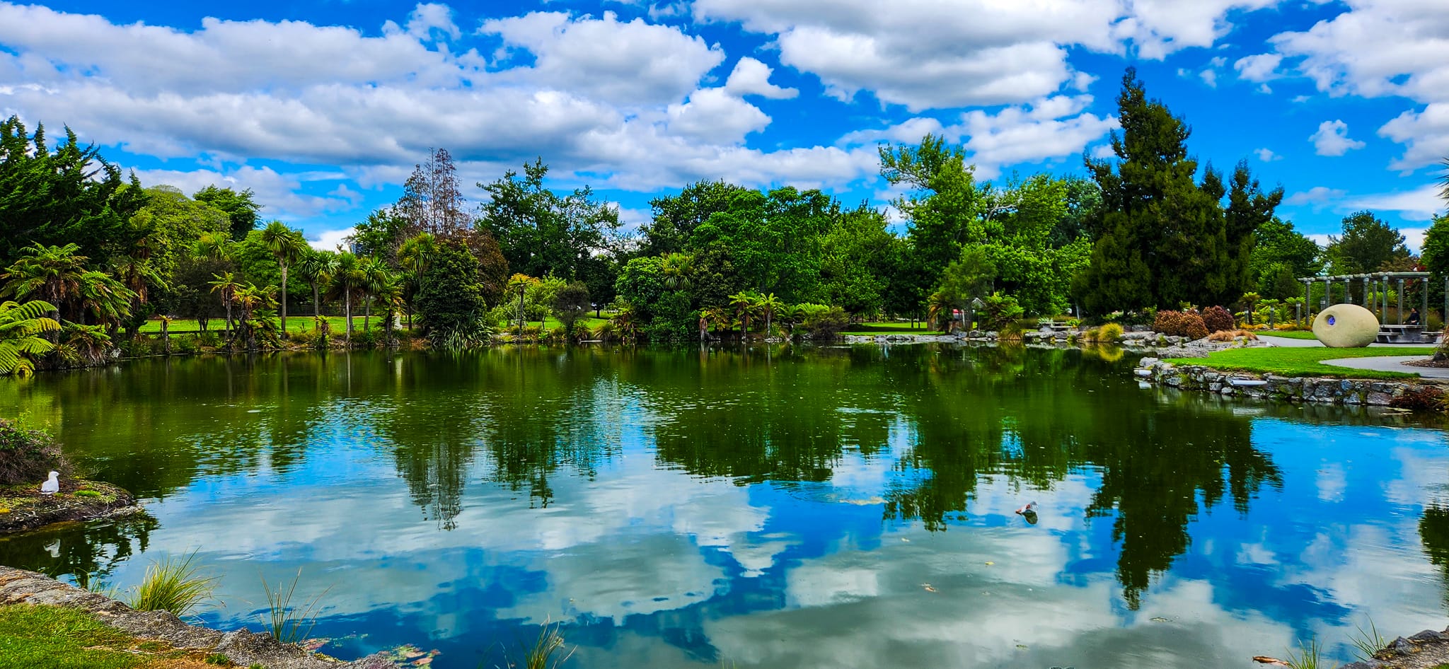 Kuirau Park in Rotorua