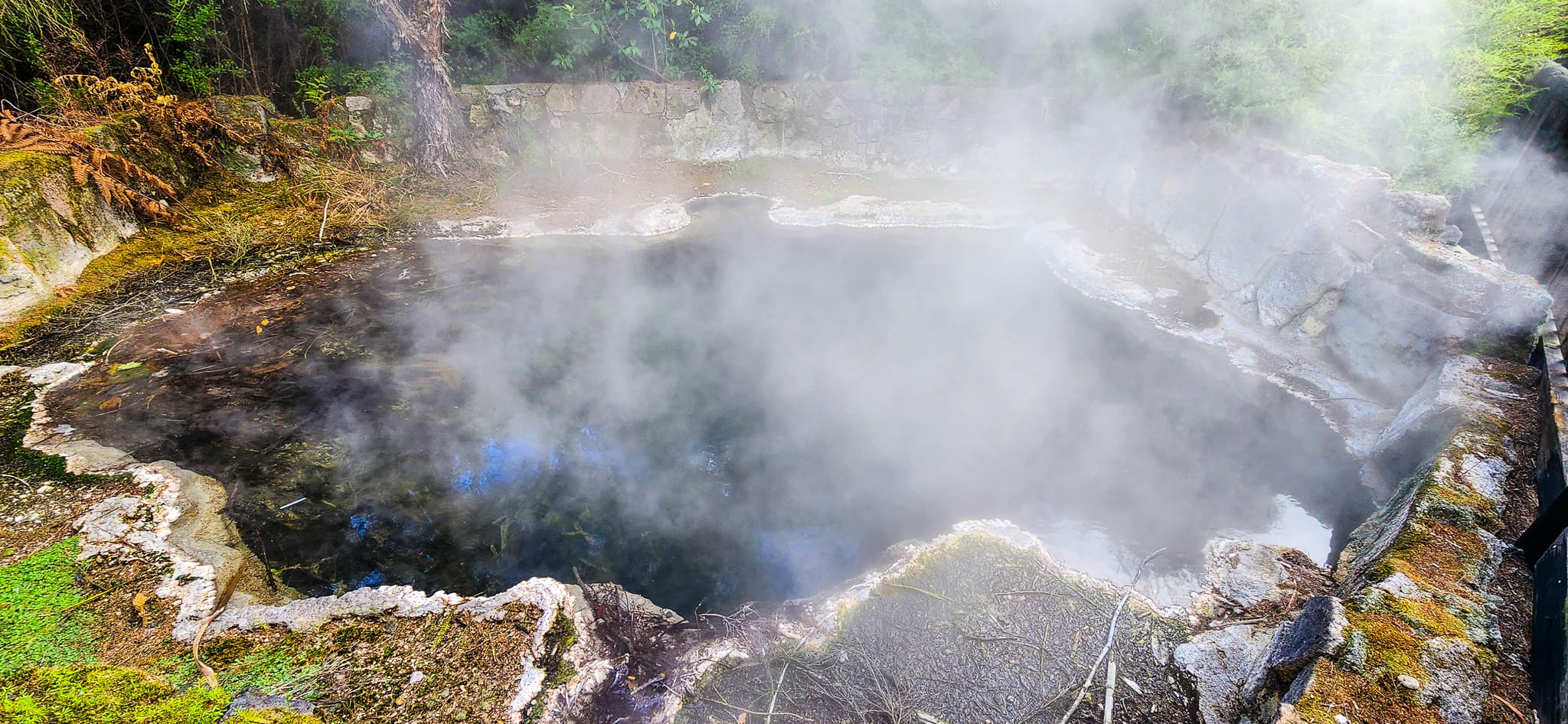 Hot Pool at Kuirau Park in Rotorua