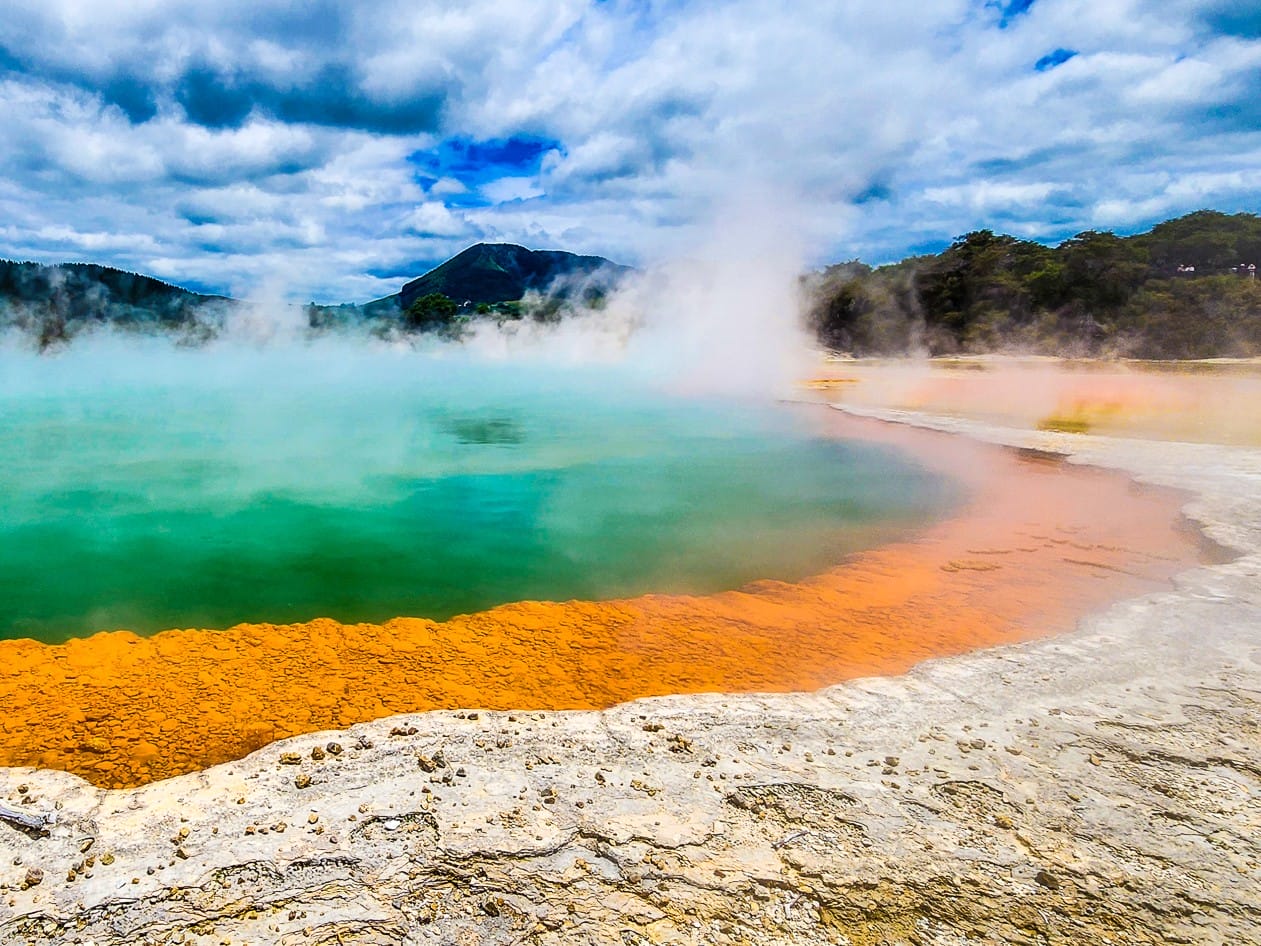 Rotorua Day Trip from Auckland: Geothermal Wonders, Forest Walks & Māori Culture
