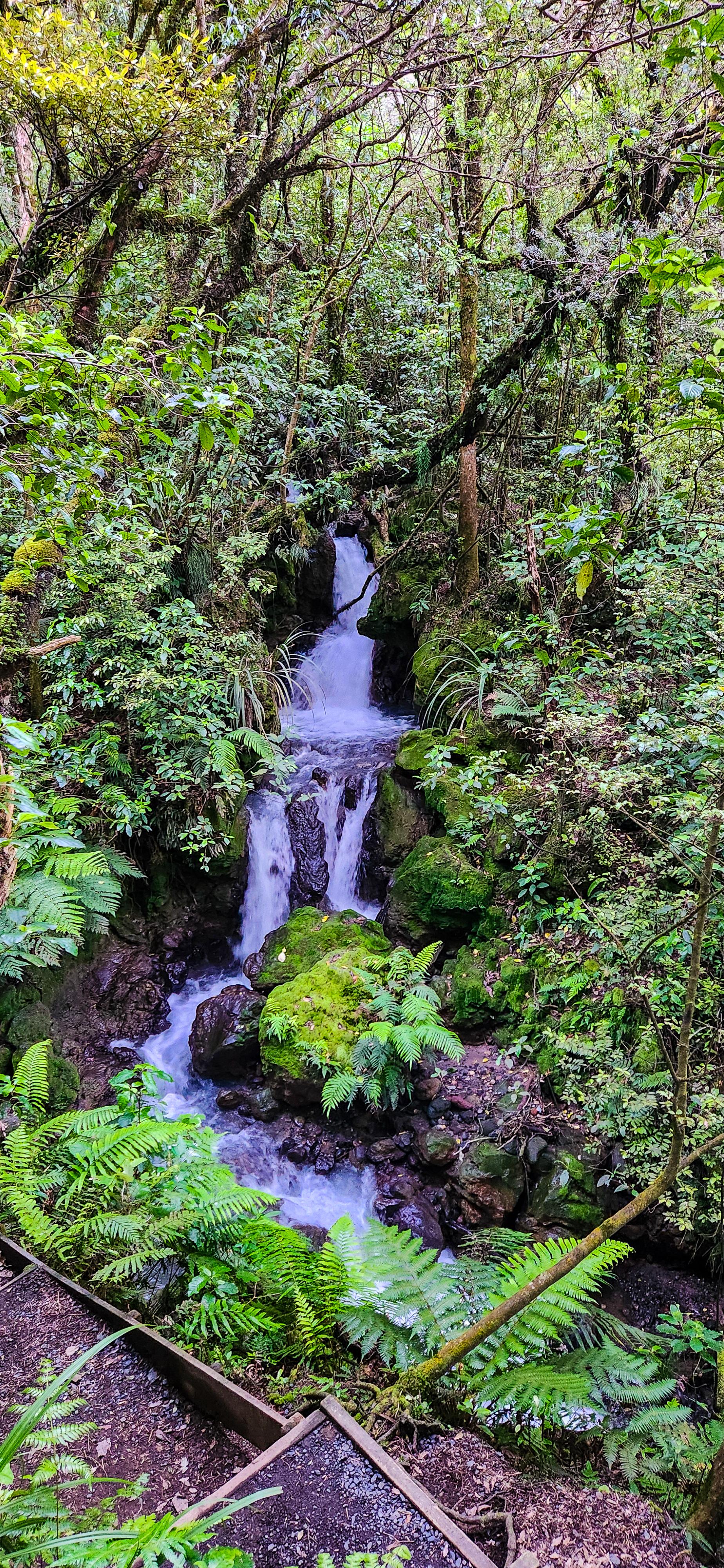 Ketetahi Falls