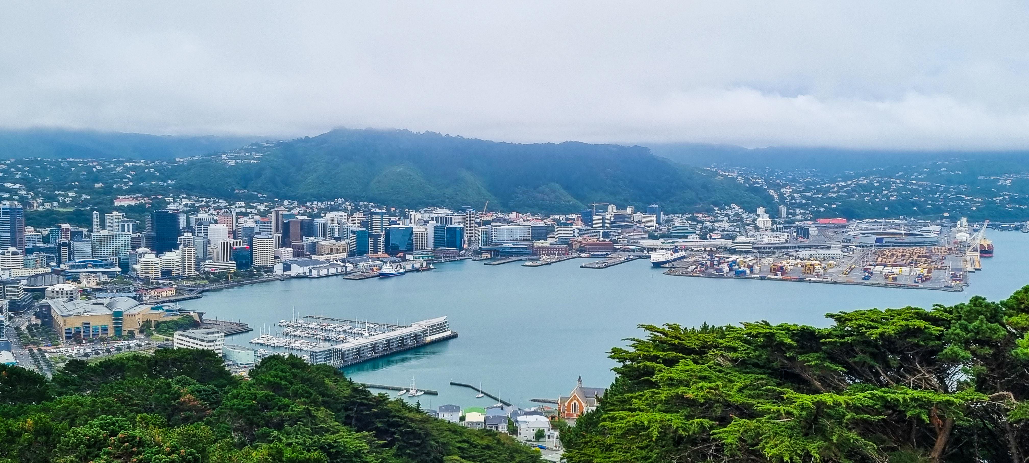 Mount Victoria Lookout in Wellington