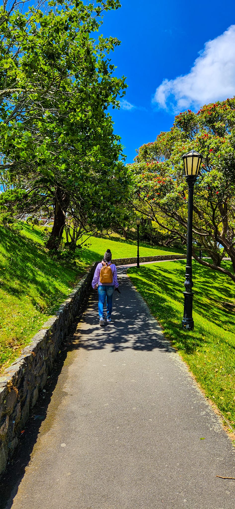 Tranquility at Wellington Botanic Garden