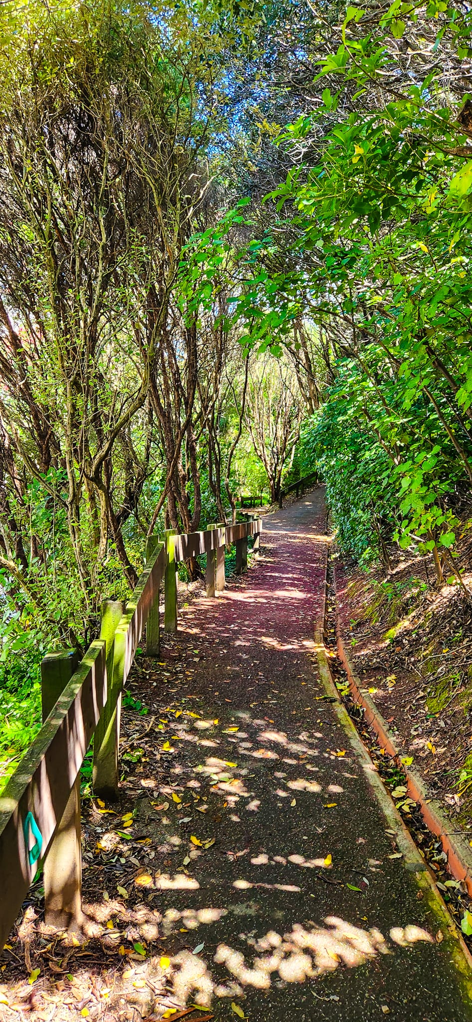 Wellington Botanic Garden