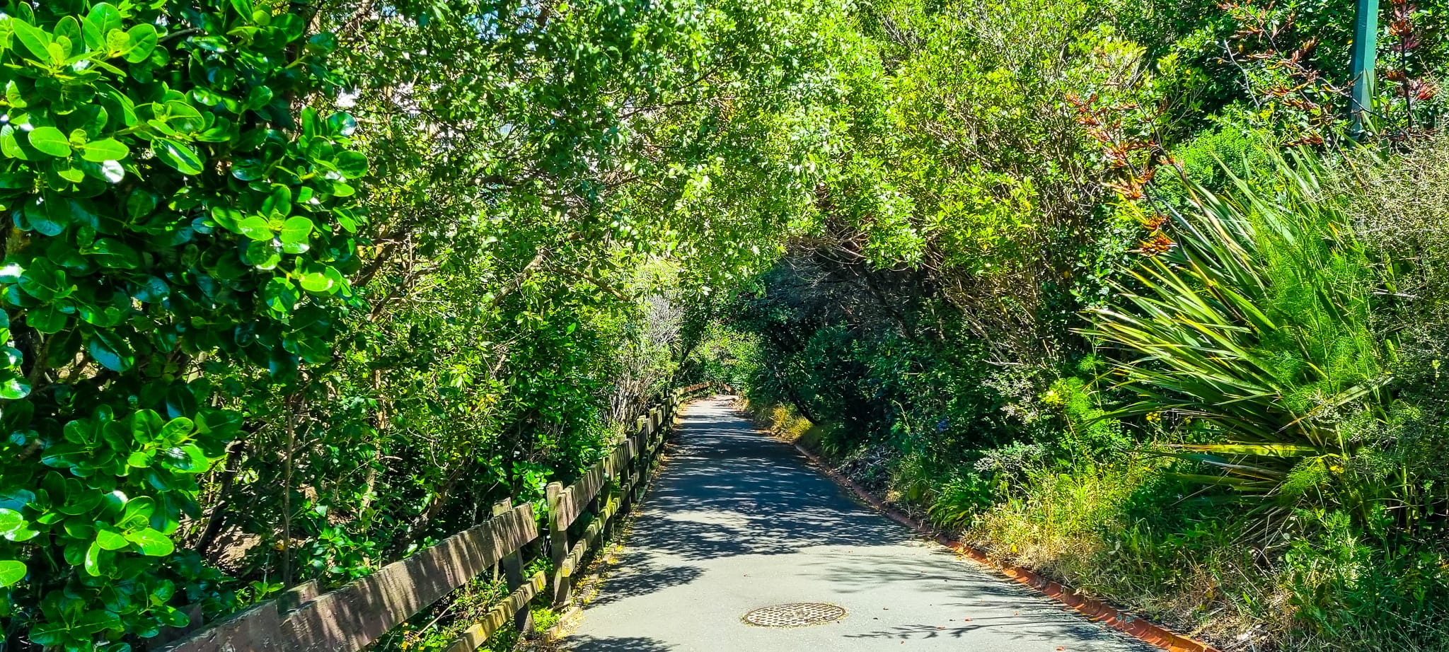Walk downhill from Wellington Botanic Gardens back into the city