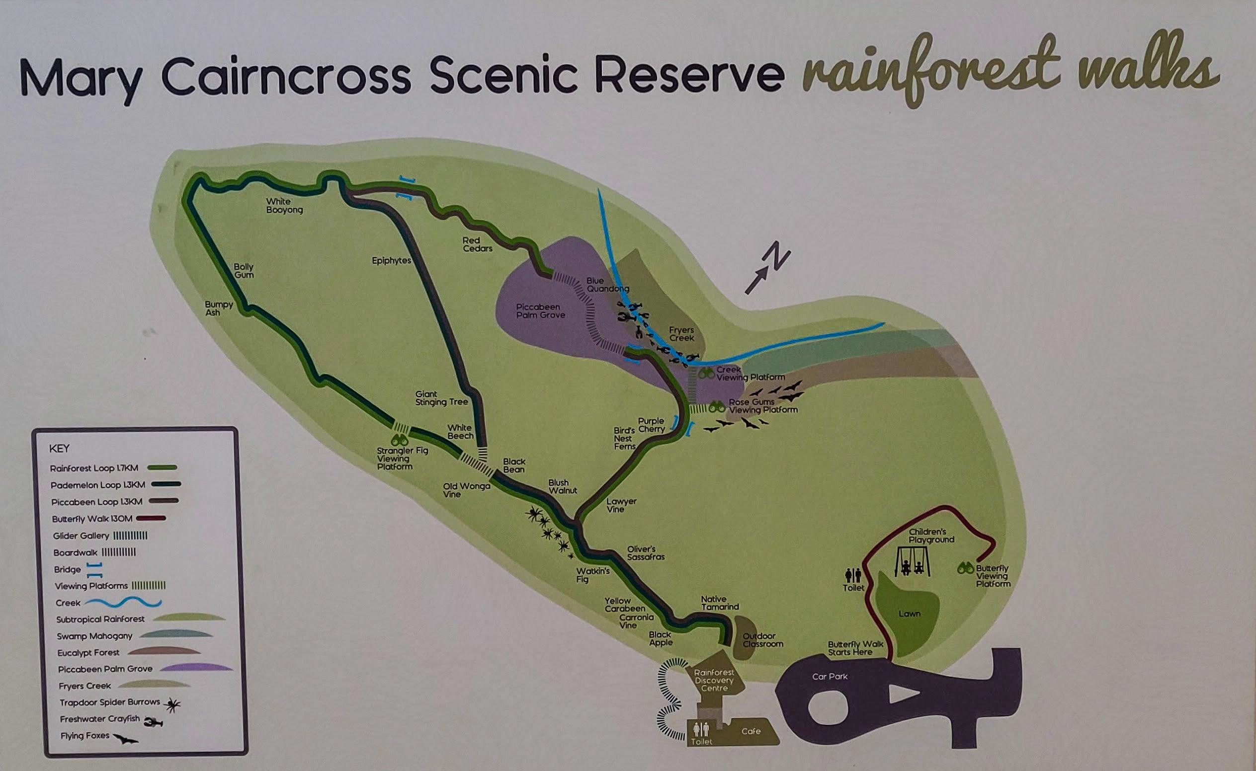 Mary Cairncross Scenic Reserve