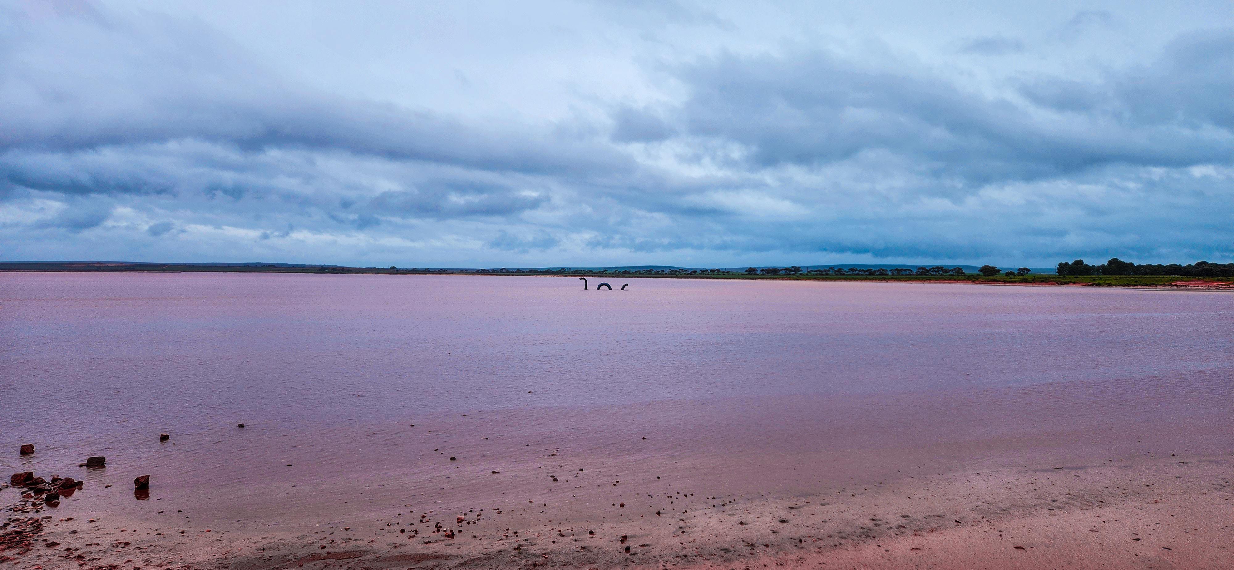 Lake Bumbunga in Lochiel