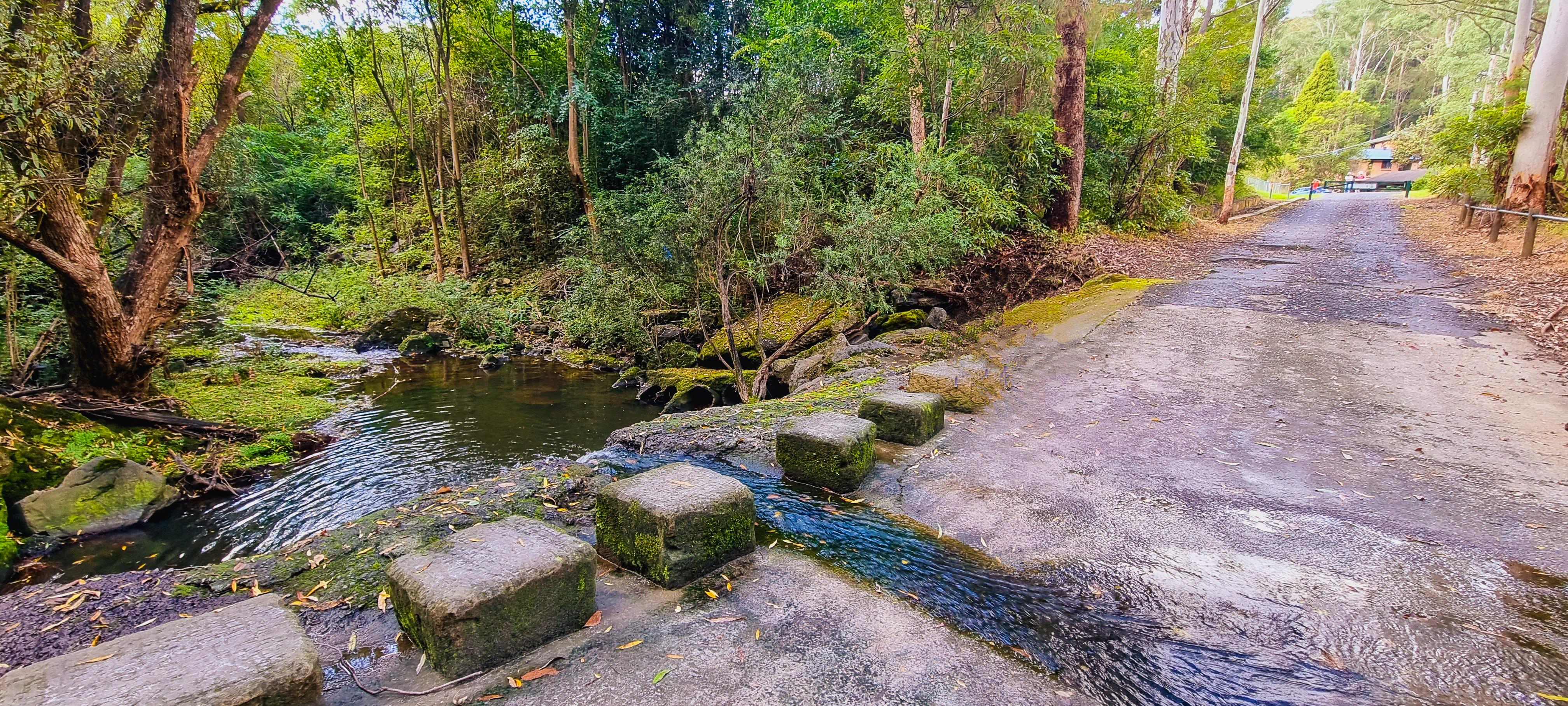 Waitara Creek Crossing in Blue Gum Walk