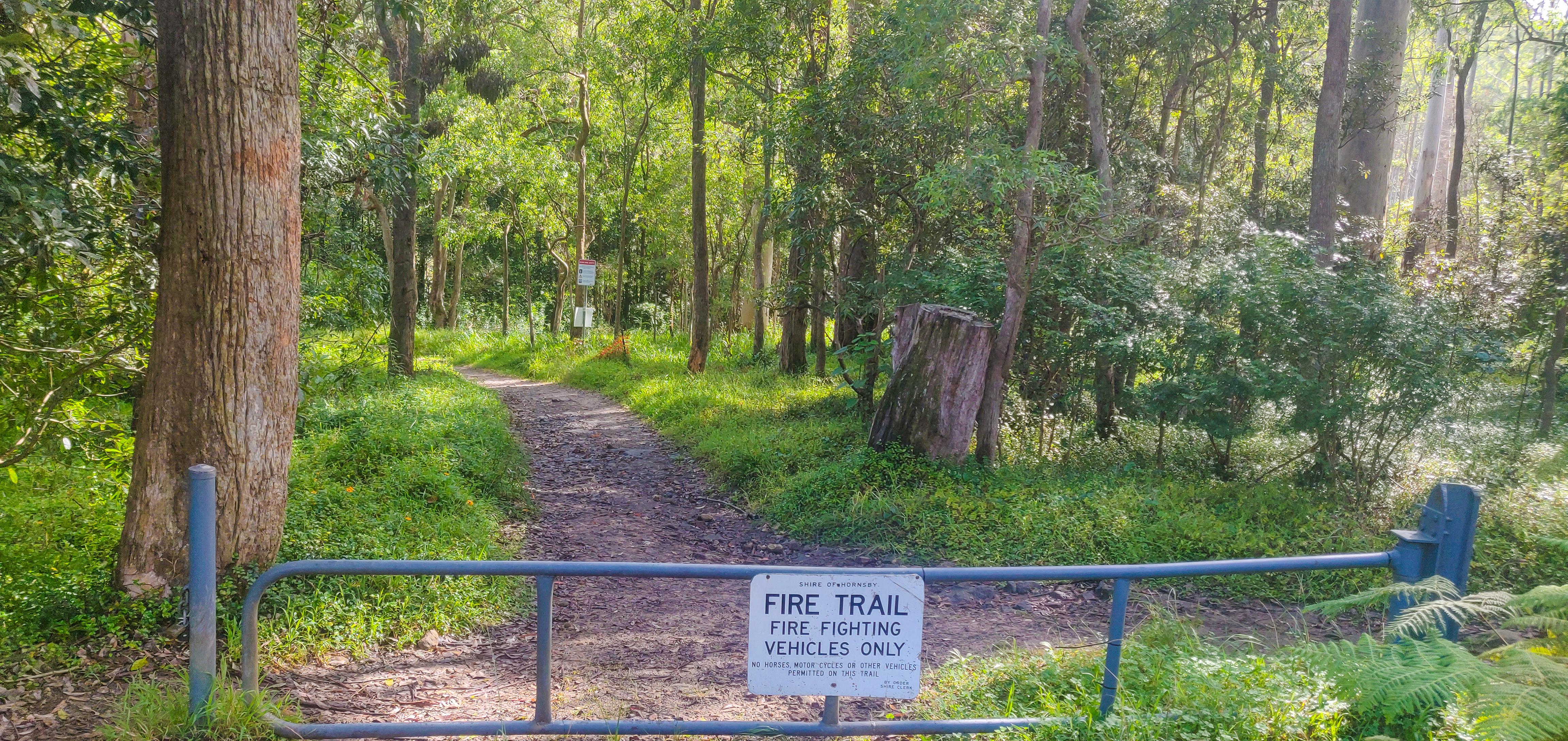 Start of the Blue Gum Walking Trail