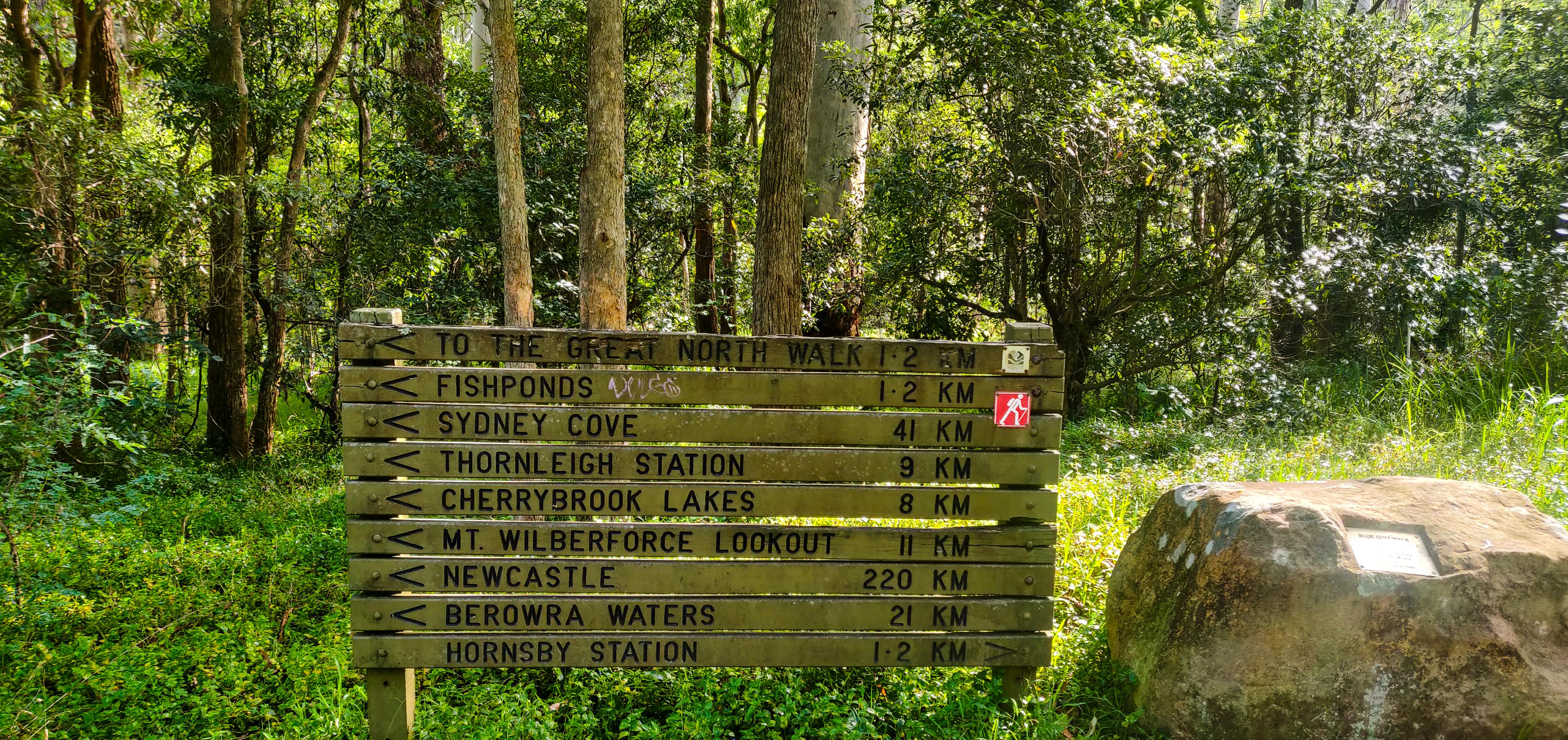 Start of the Blue Gum Walking Trail