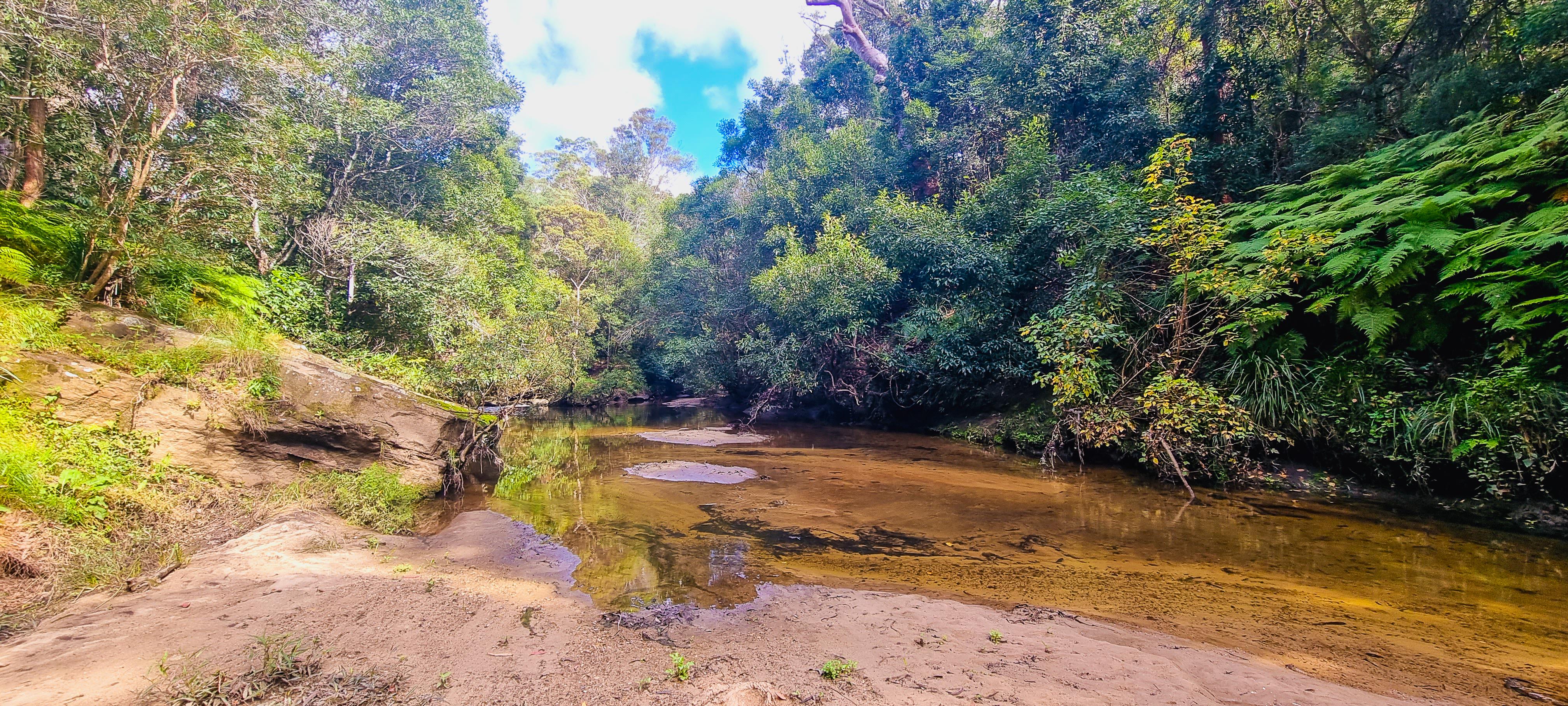 Washtub in Blue Gum Walk