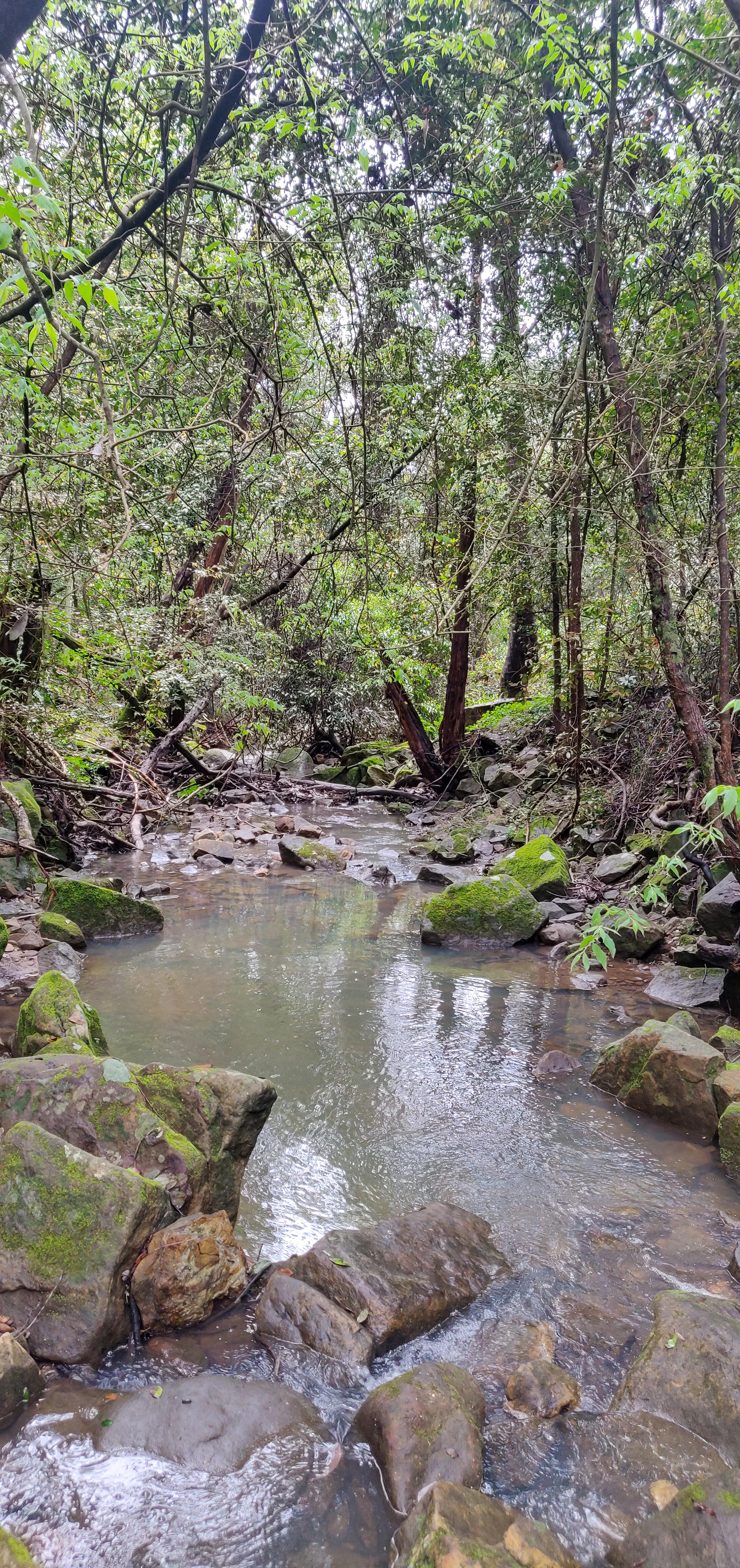Creek crossing on the way to Knapsack Bridge