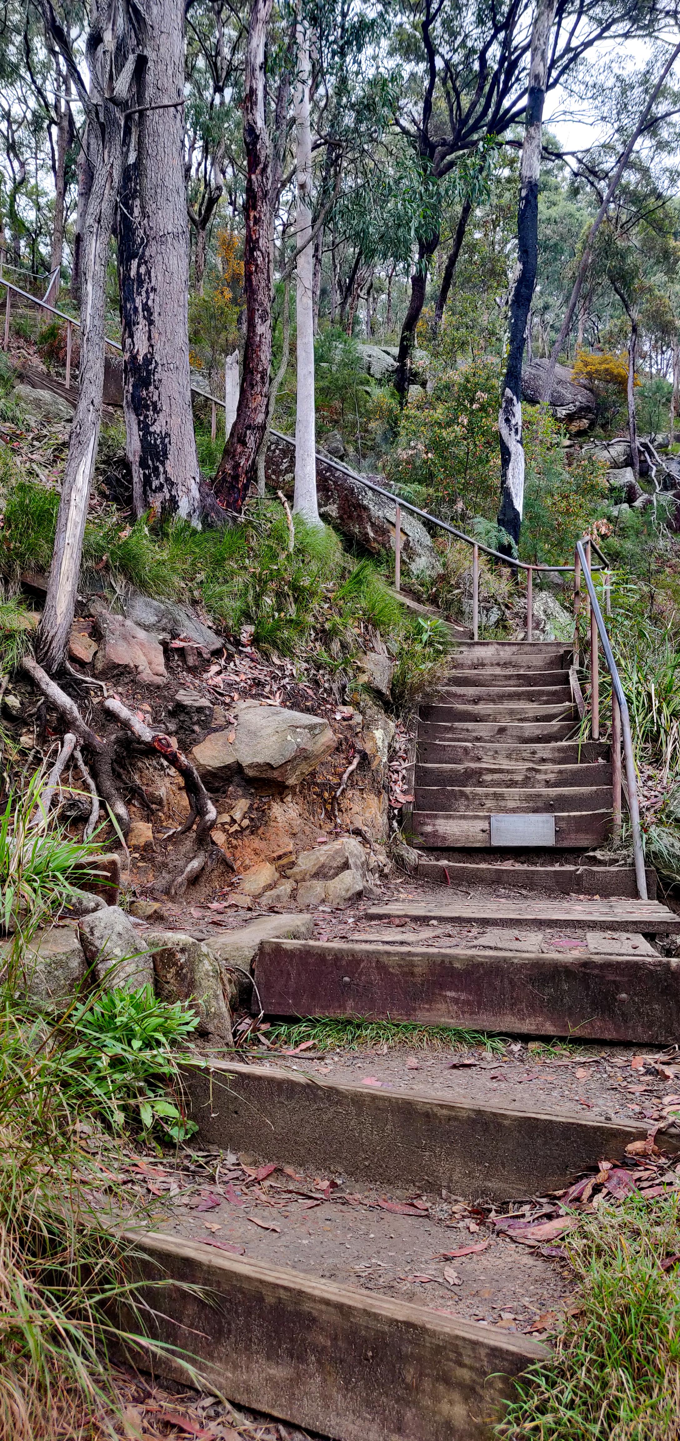 Stairs to the zig zag walking track