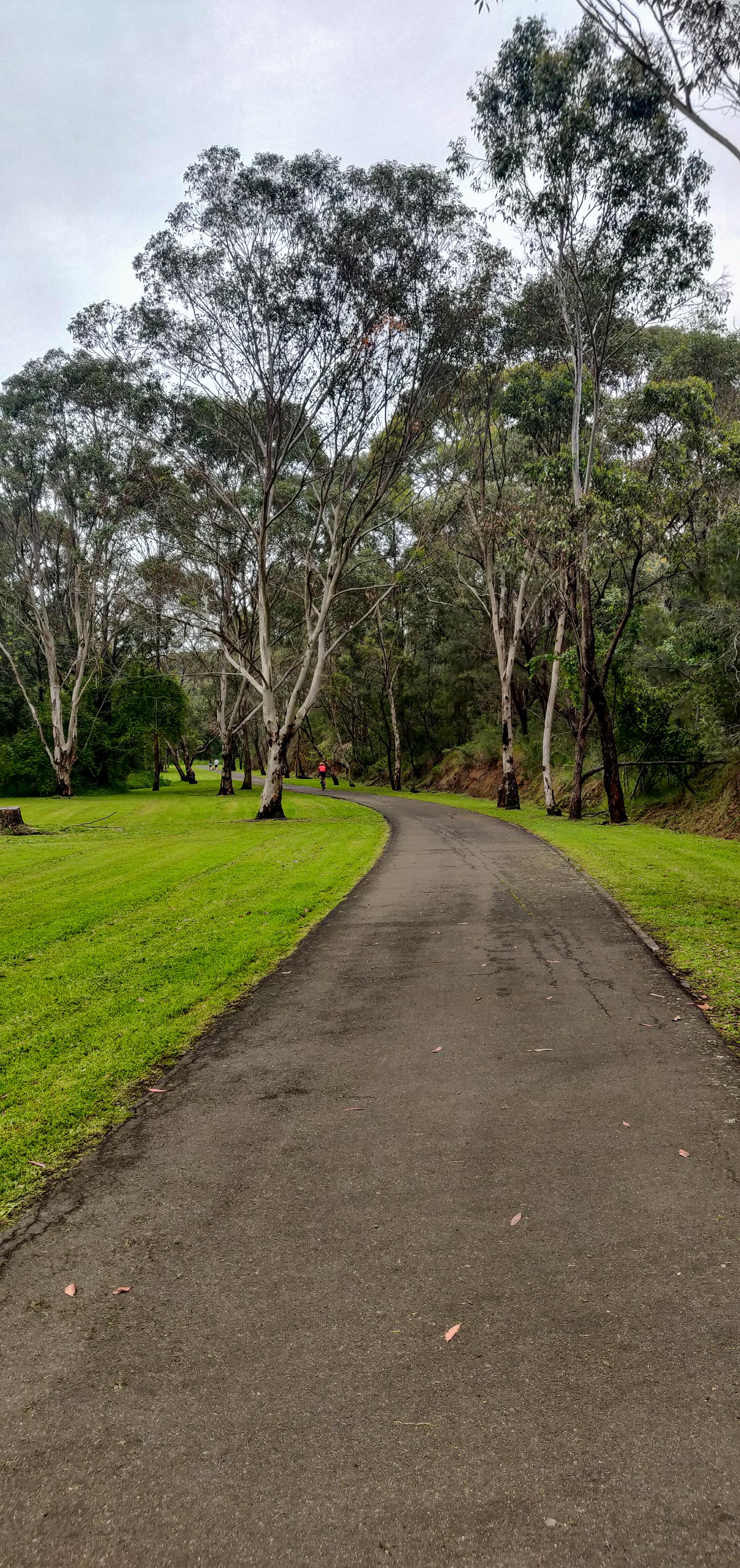 Lush Greenery on the way to Knapsack Bridge