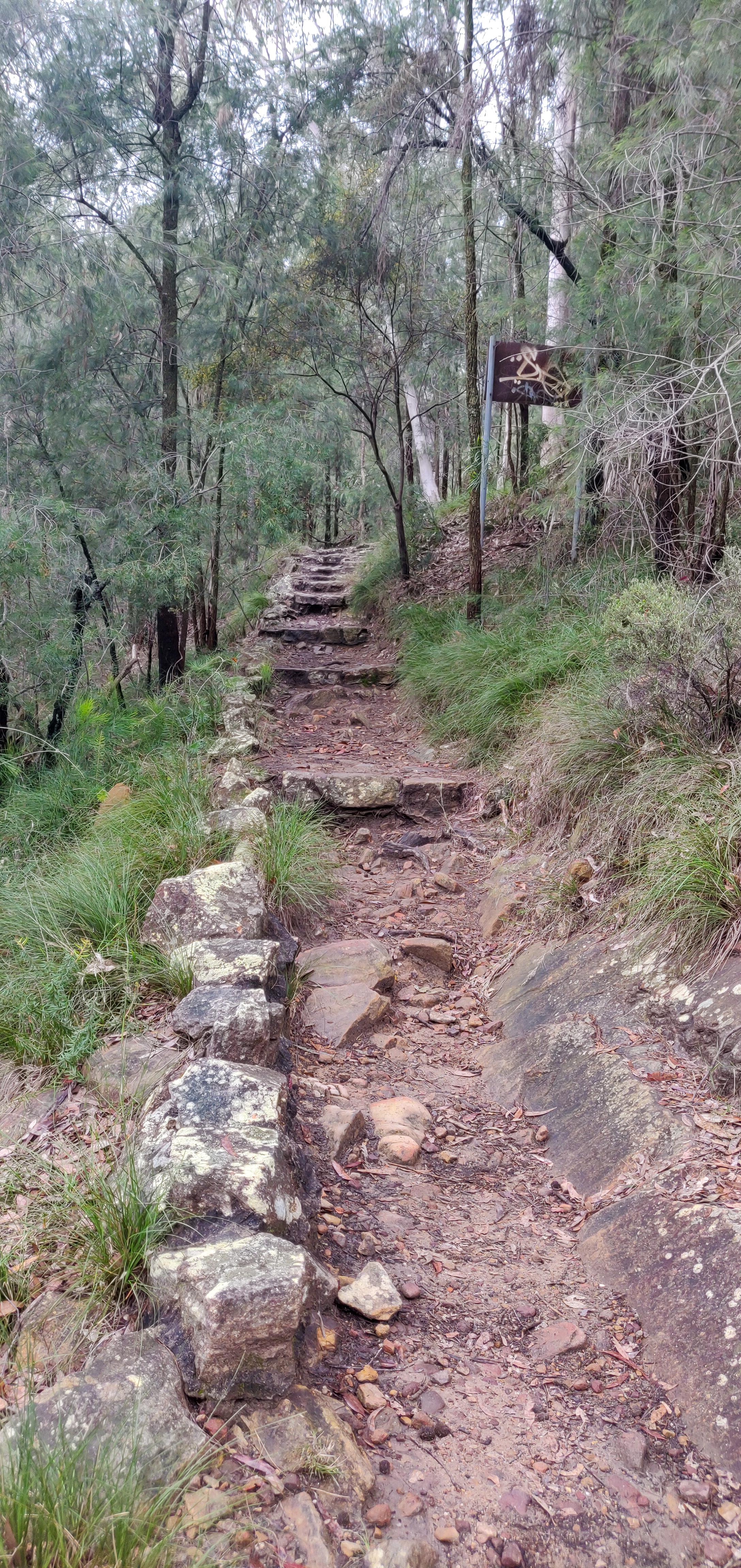 Stairs continuing to the zig zag walking track