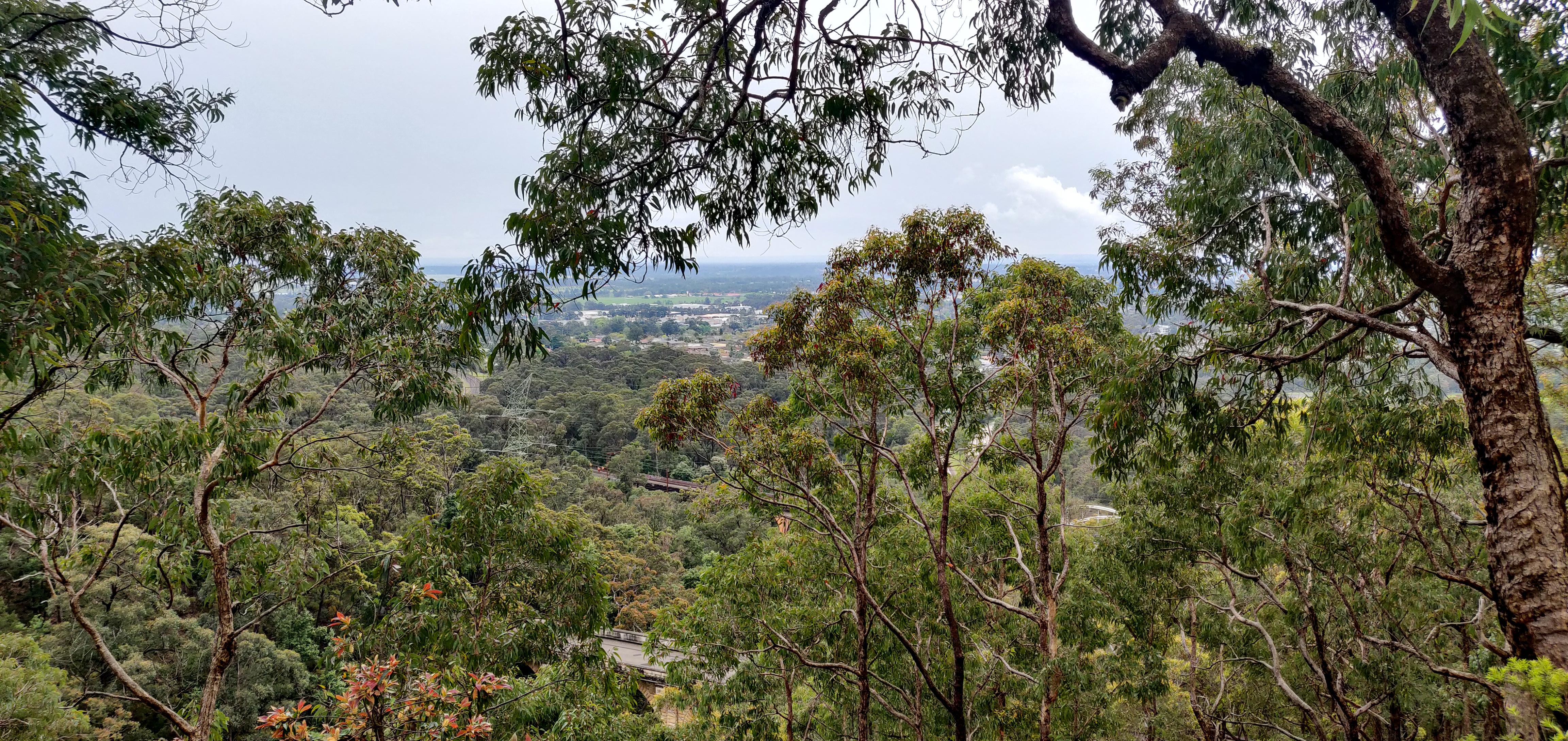 Siding Lookout