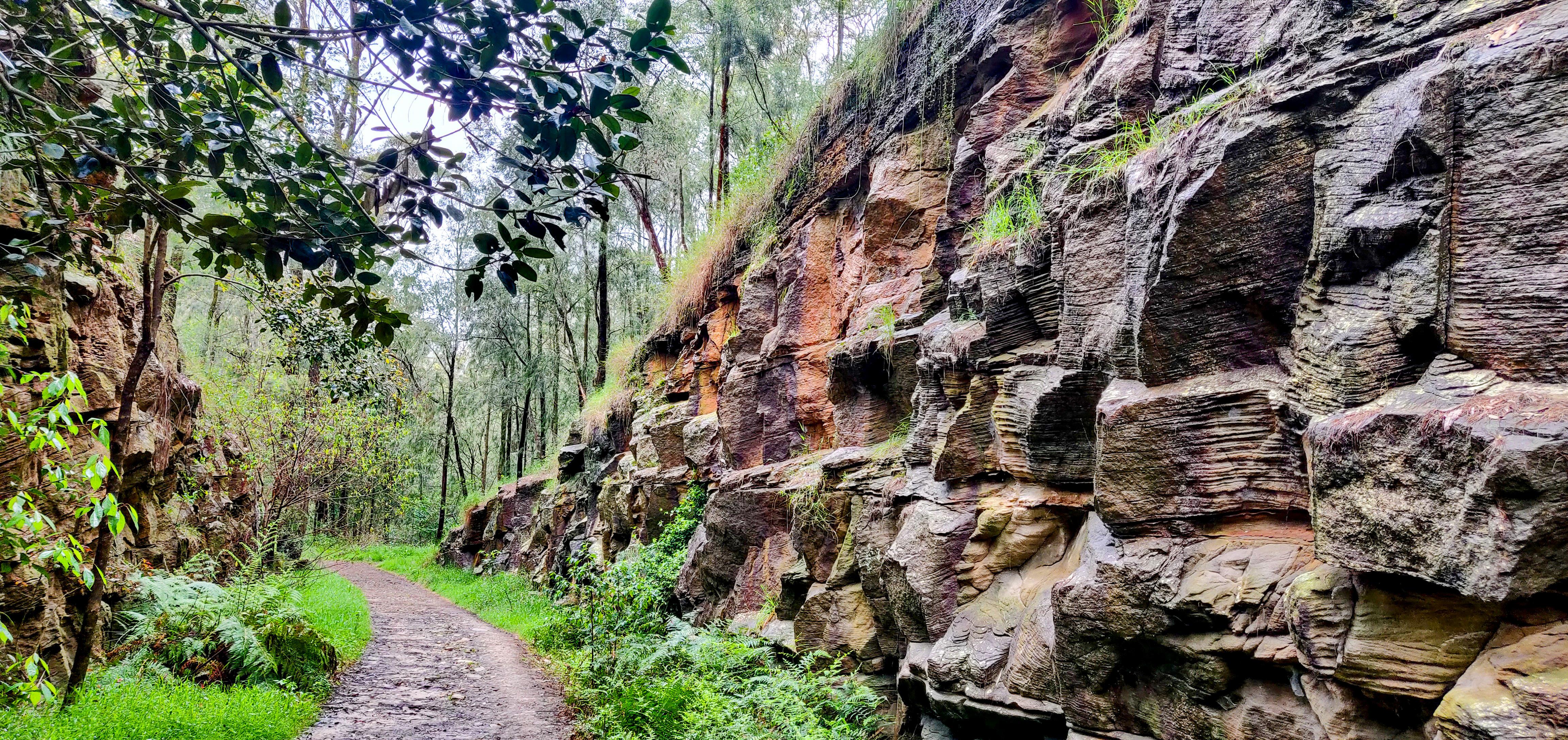 Lapstone Zig Zag Trail