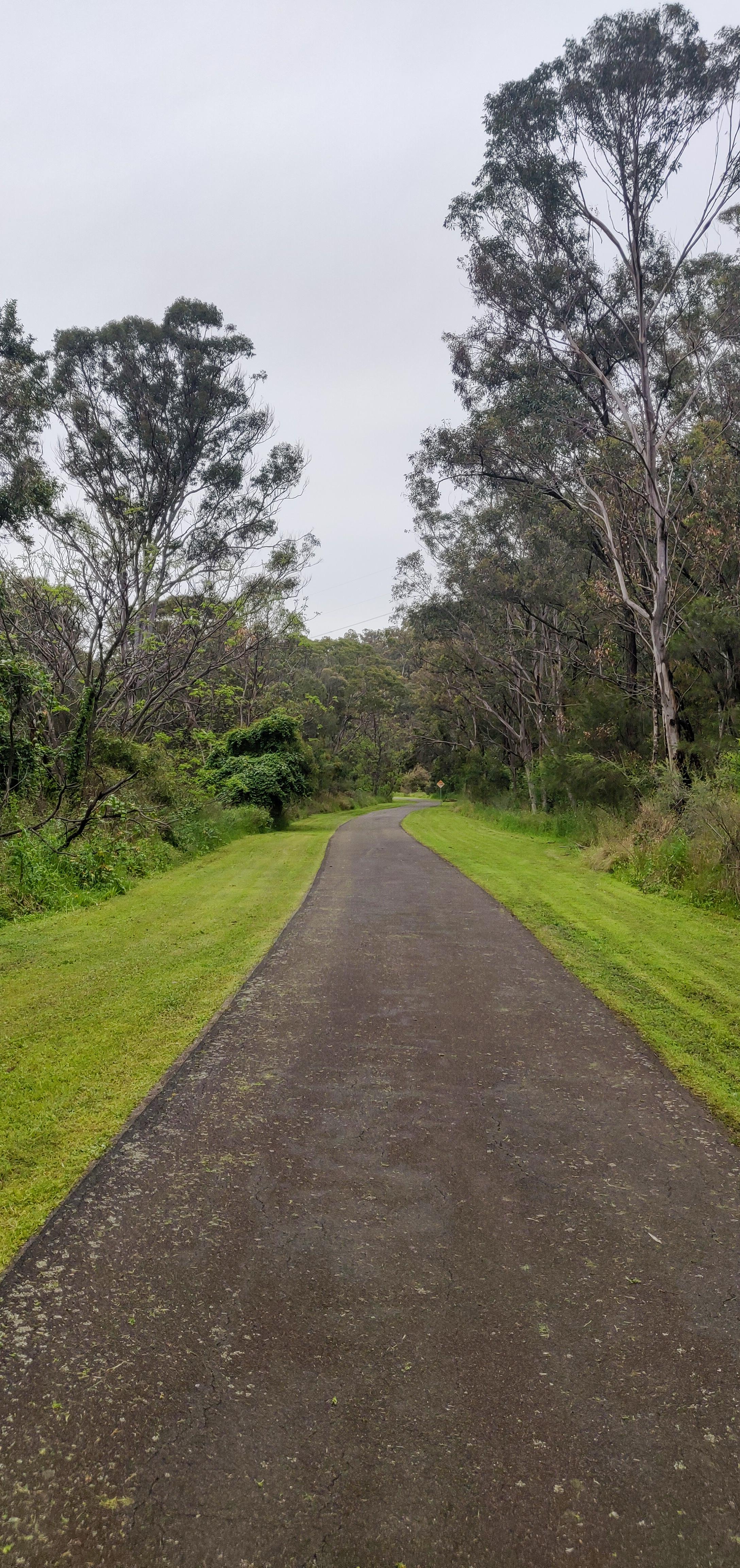 Lush Greenery on the way to Knapsack Bridge