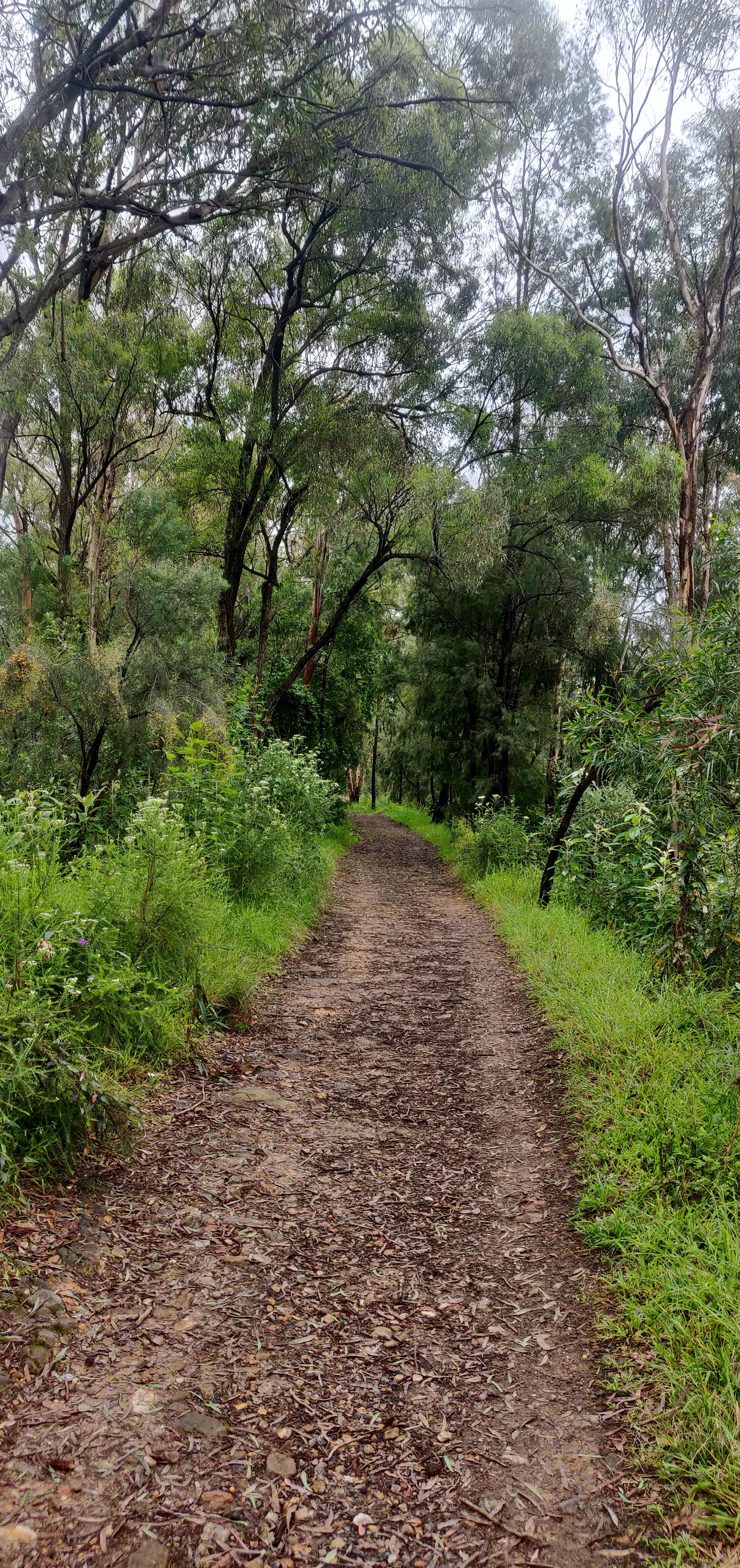 Return Trail continues to Knapsack Bridge
