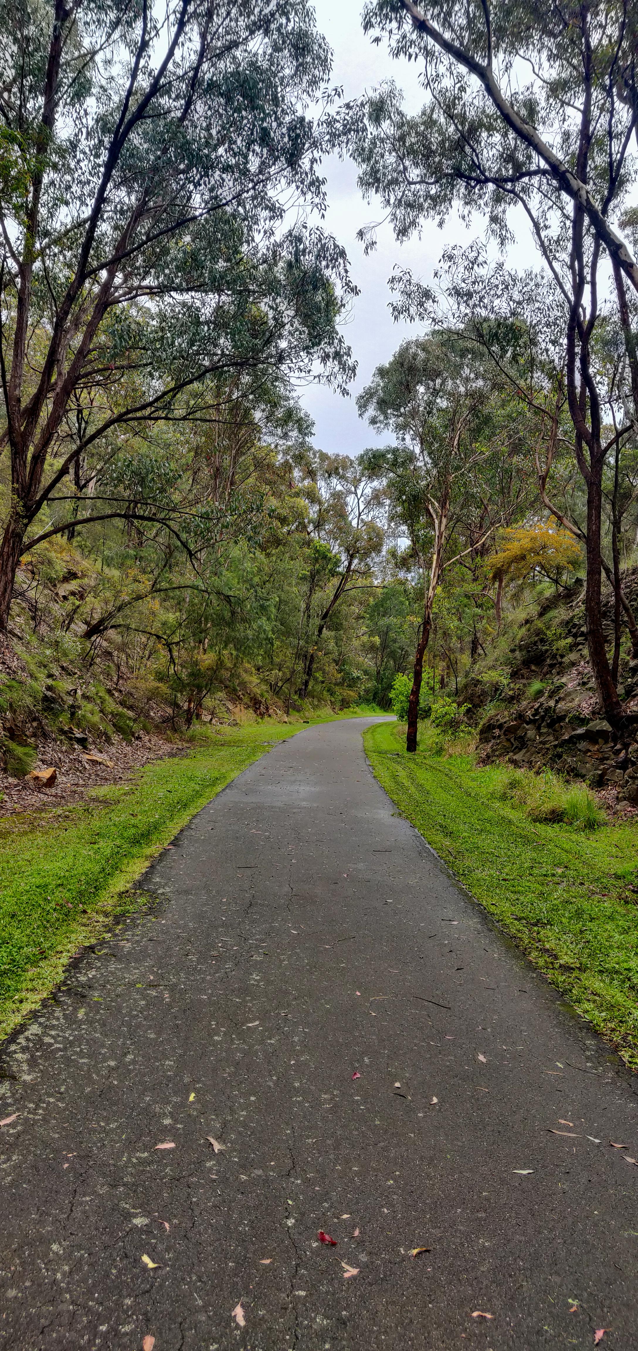 Lush Greenery on the way to Knapsack Bridge