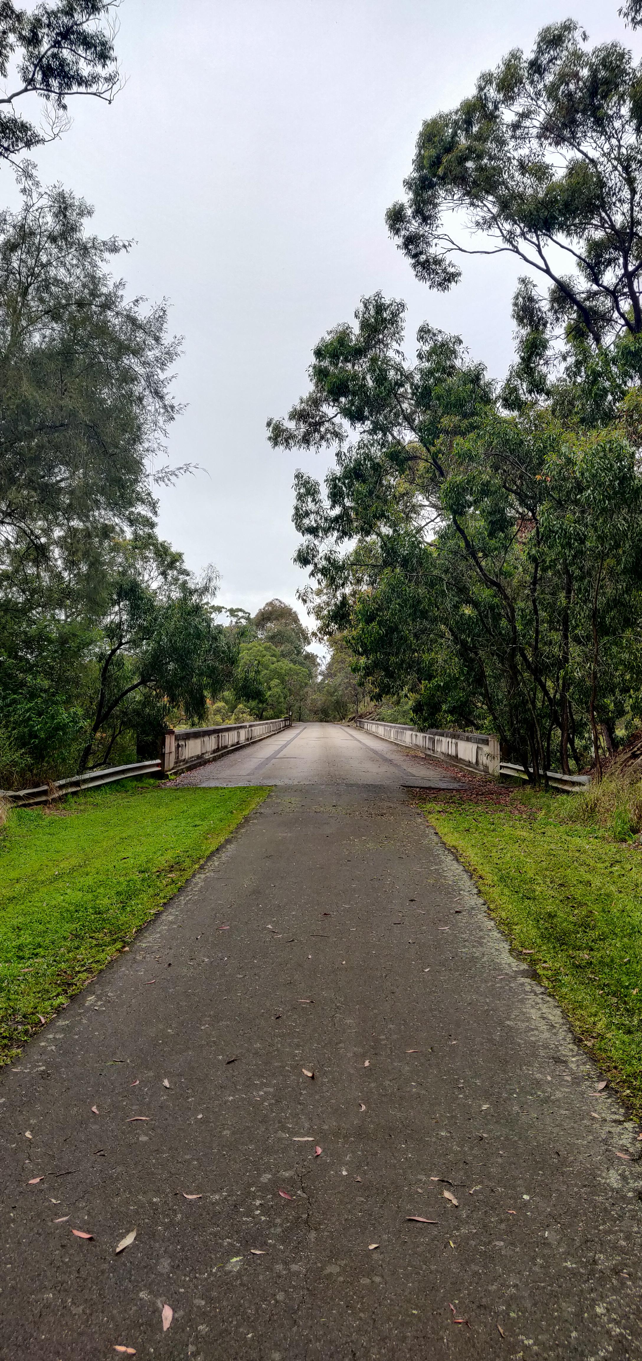 Knapsack Bridge